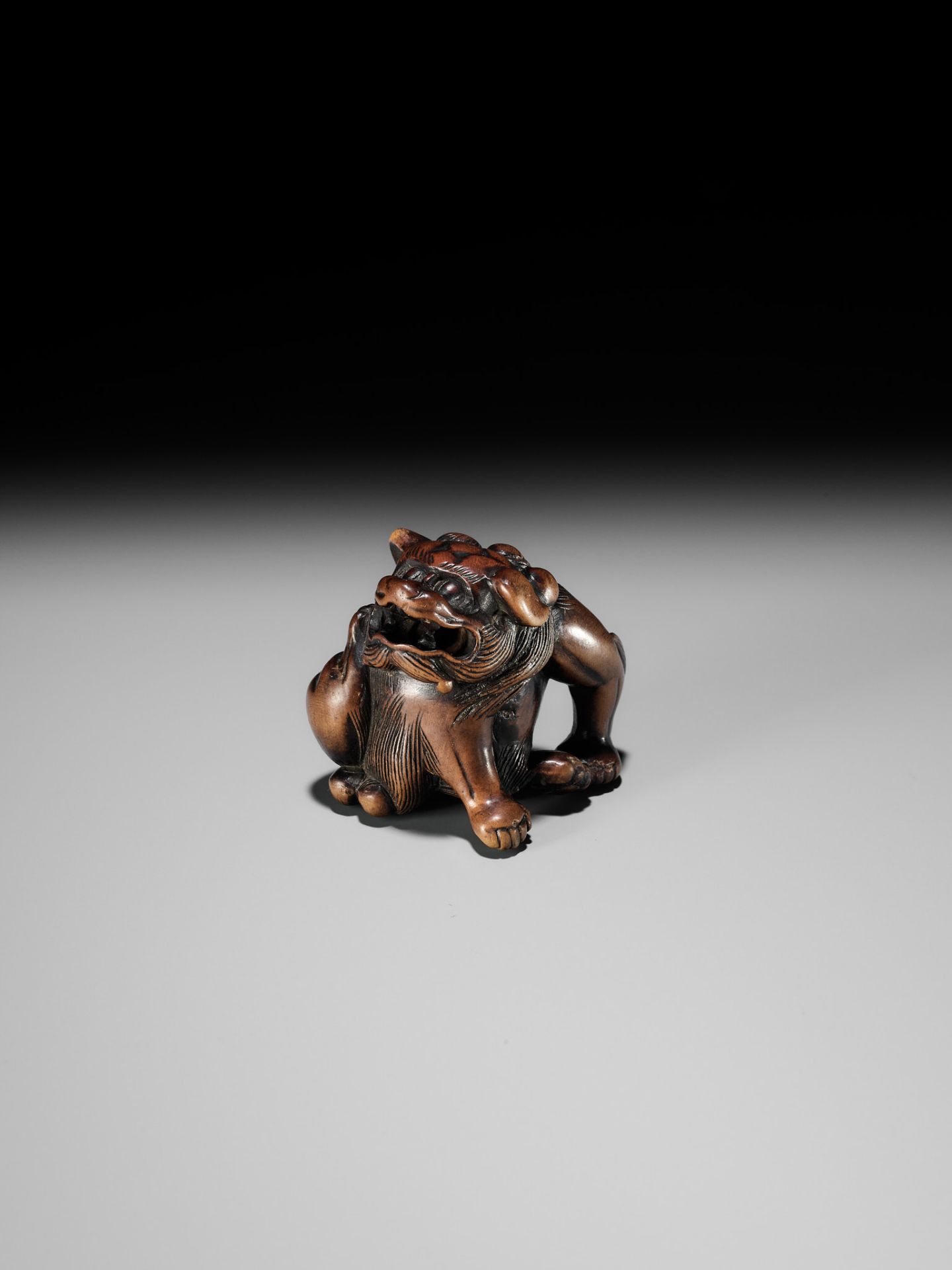 A WOOD NETSUKE OF A SHISHI SCRATCHING ITS JOWL, ATTRIBUTED TO RISUKE GARAKU - Image 11 of 12