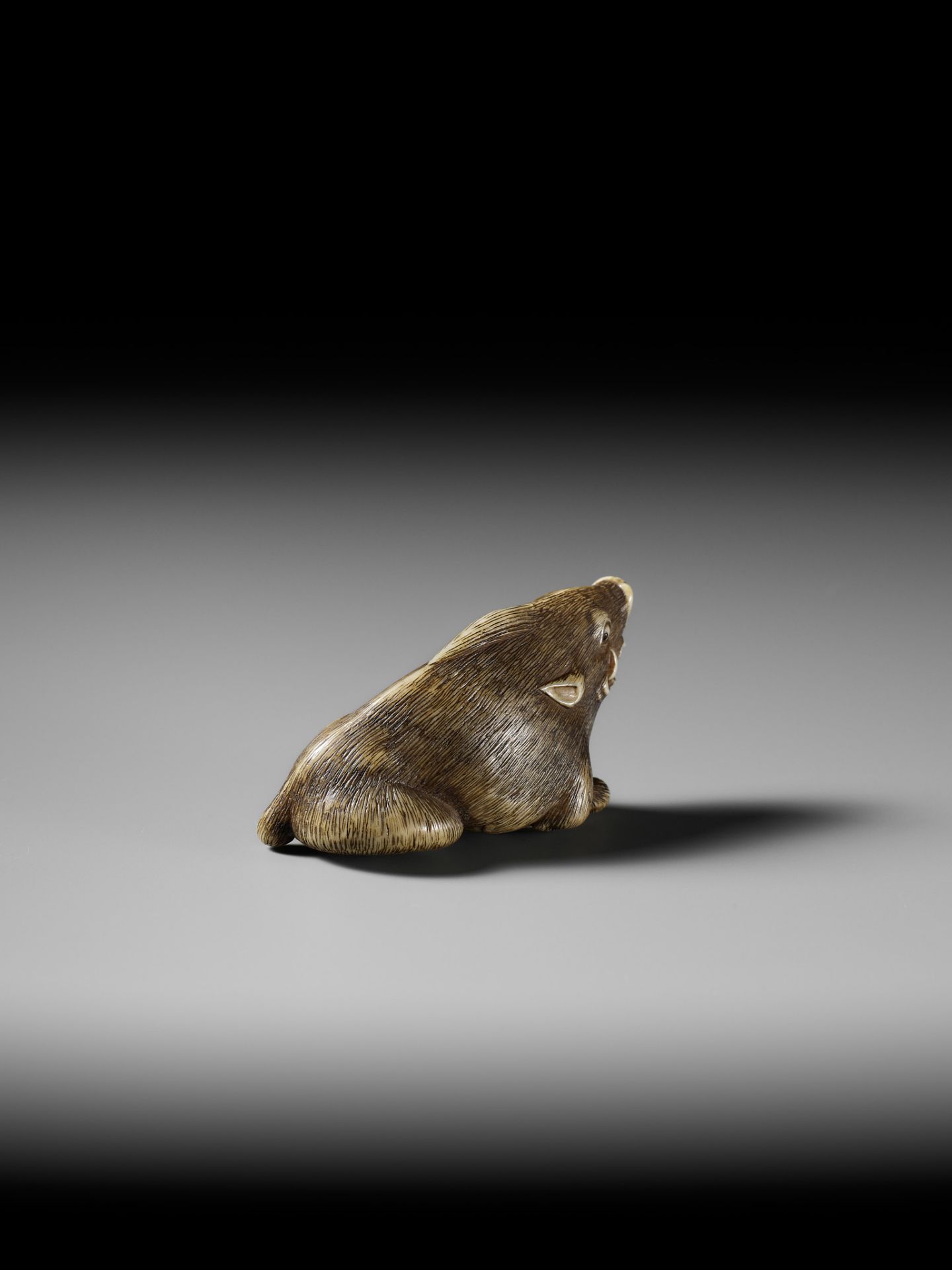 A KYOTO SCHOOL IVORY NETSUKE OF A FRIGHTENED RECLINING BOAR - Image 11 of 13