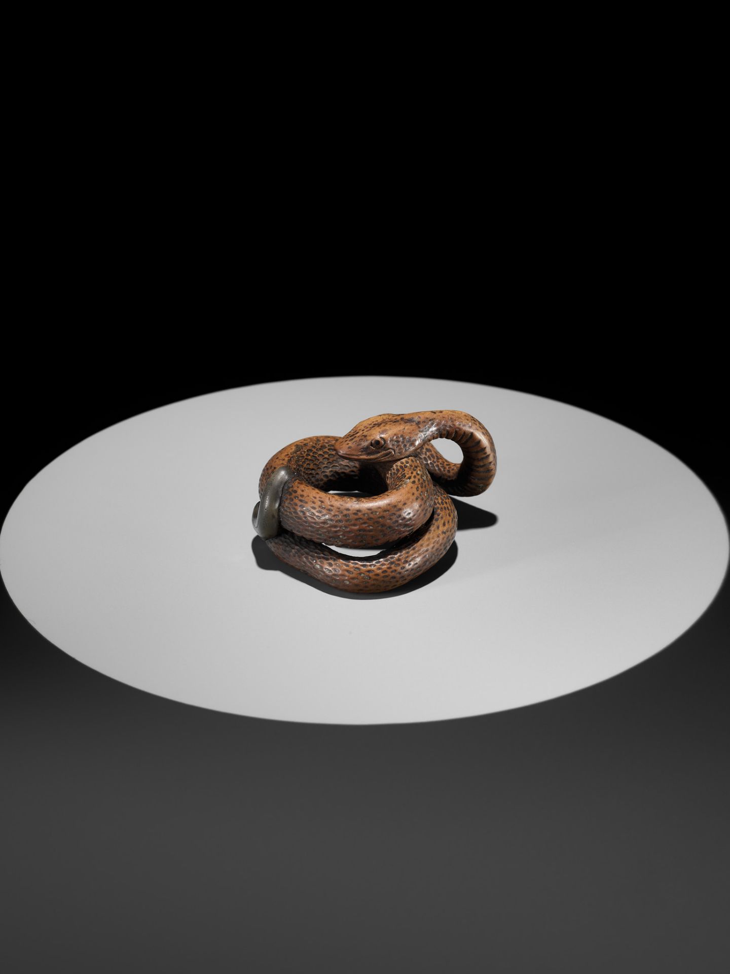 A LARGE AND POWERFUL WOOD NETSUKE OF A COILED SNAKE WITH AN INLAID SLUG BY TOMOKAZU - Image 4 of 13