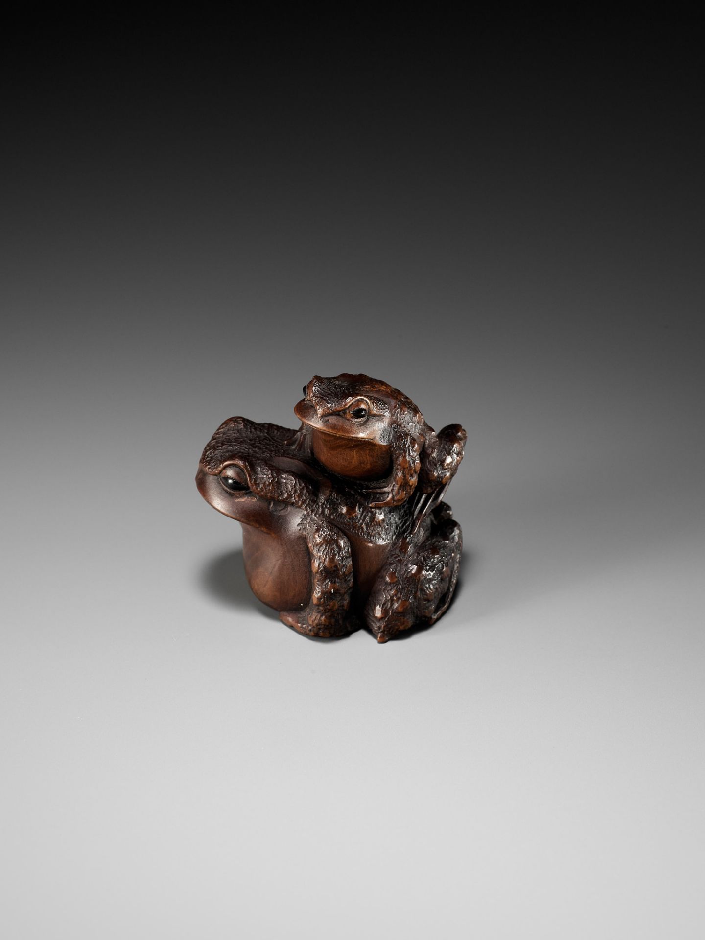 MASANAO: A FINE WOOD NETSUKE OF A TOAD WITH YOUNG - Image 2 of 15