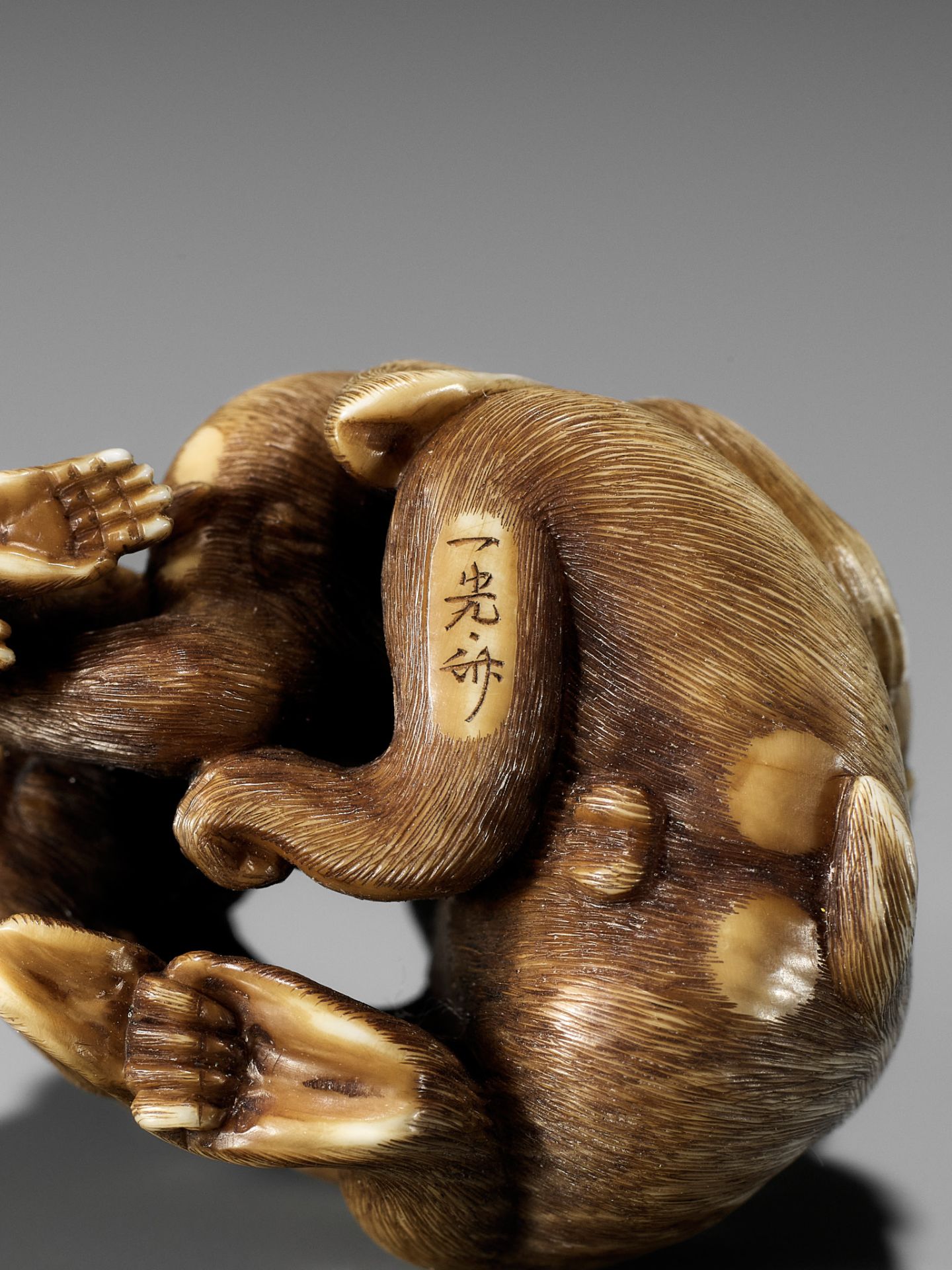 IKKOSAI: A FINE IVORY NETSUKE OF A MONKEY WITH TWO YOUNG - Bild 16 aus 17