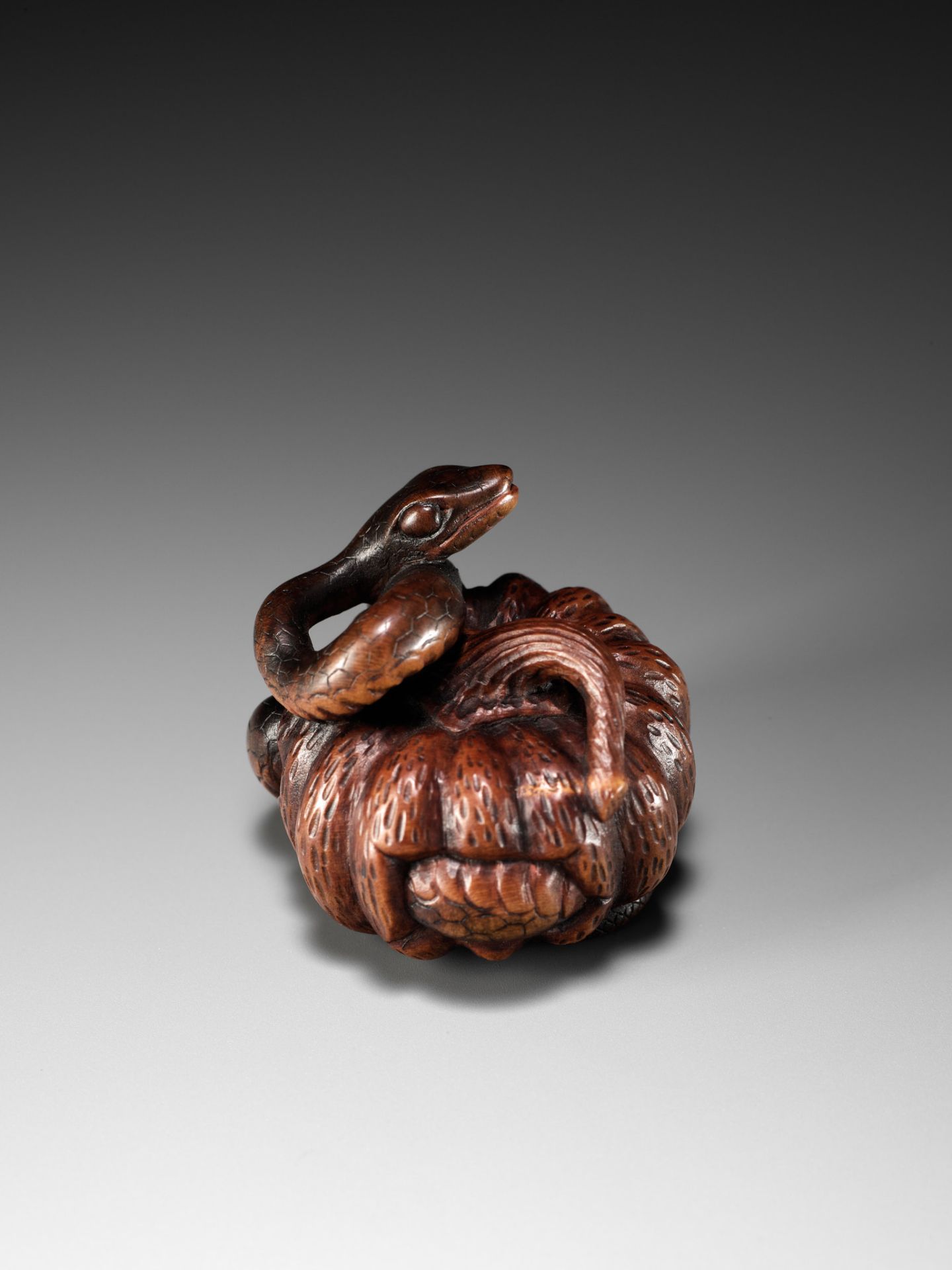 SHIGEMASA: A FINE NAGOYA SCHOOL WOOD NETSUKE OF SNAKE WINDING THROUGH A PUMPKIN - Image 9 of 11