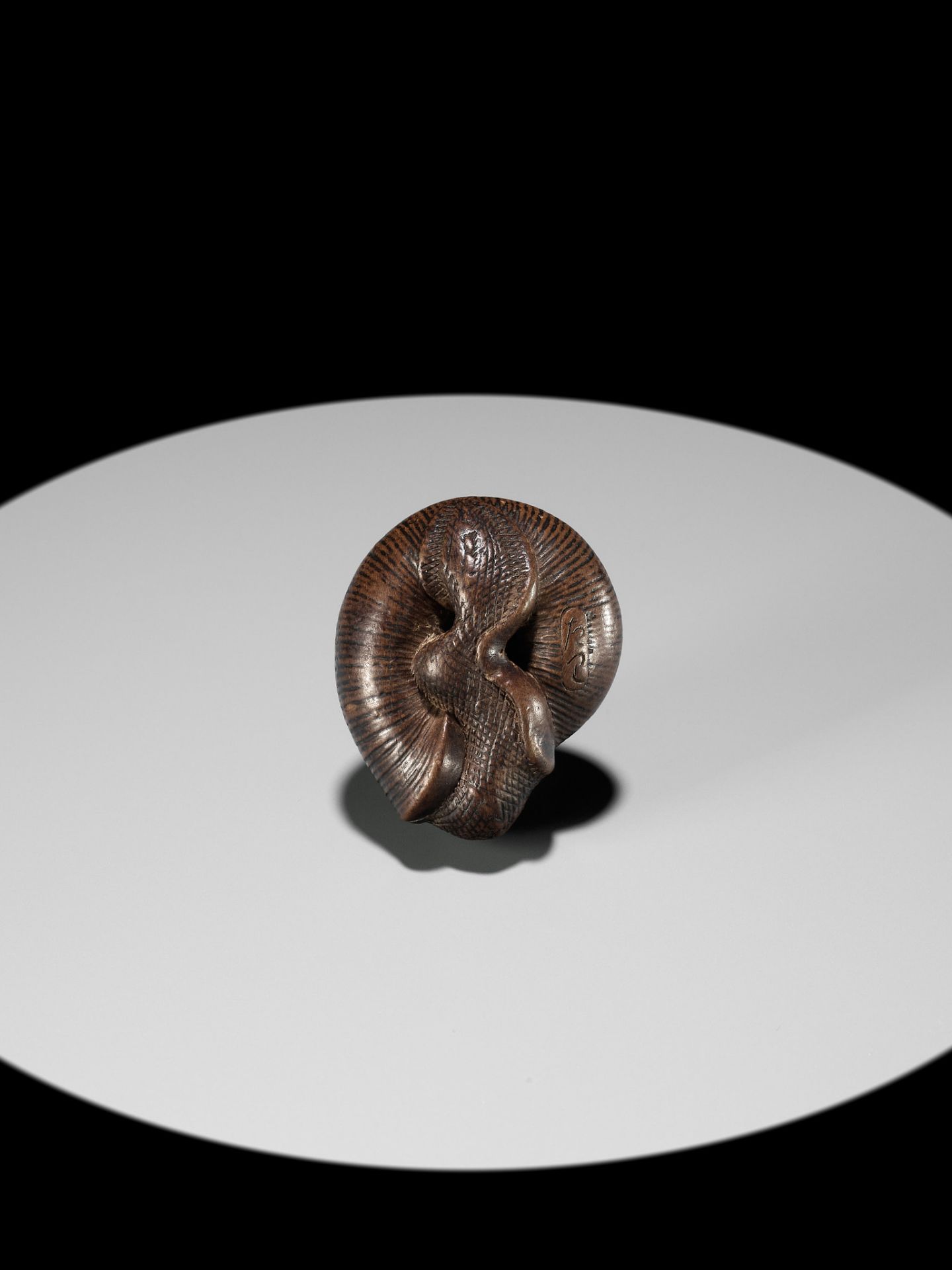 SARI: A FINE WOOD NETSUKE OF A SNAIL EMERGING FROM ITS SHELL - Bild 8 aus 17