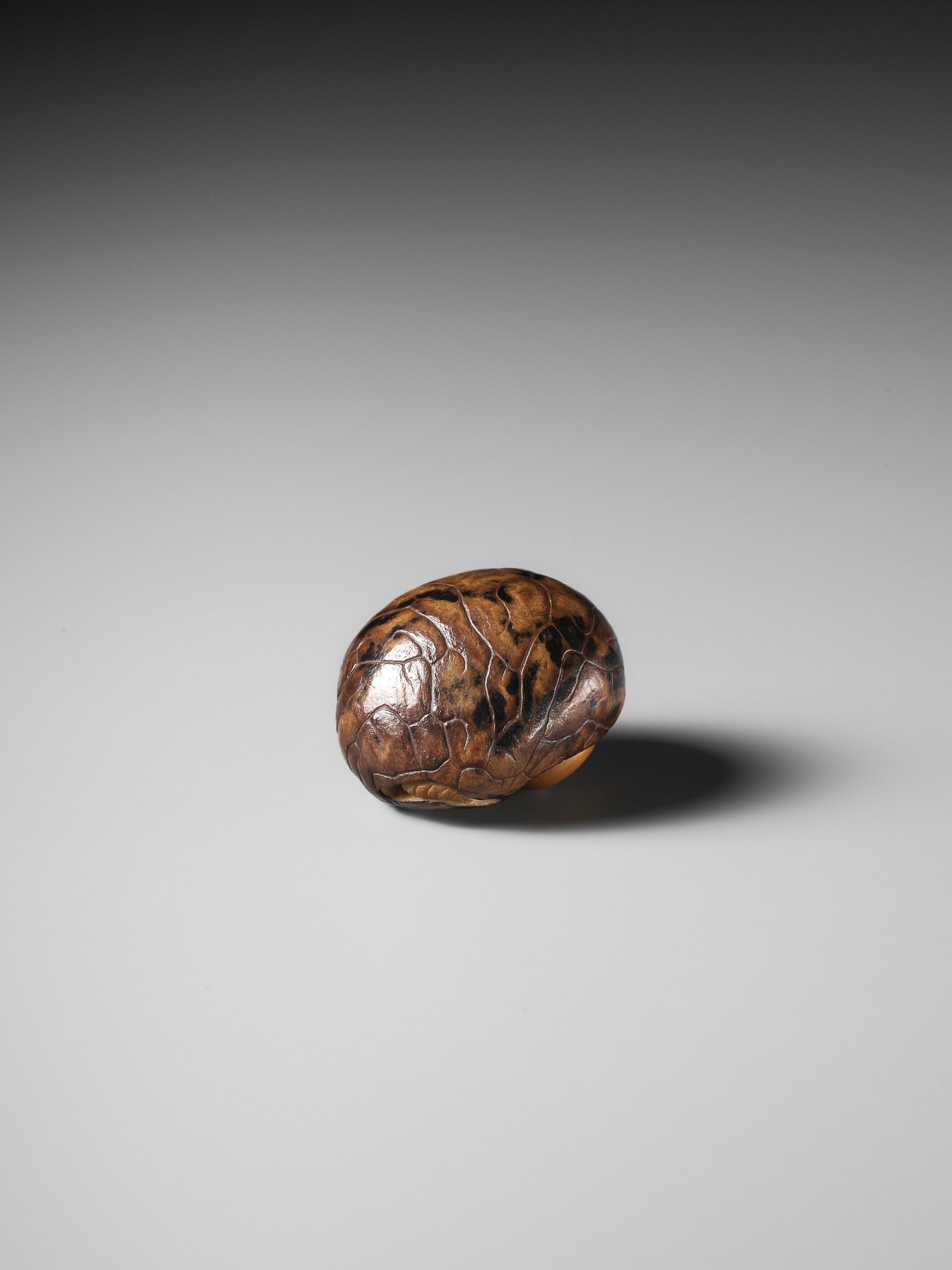 YOSHIMASA: A RARE COROZO NUT NETSUKE OF TWO MUSHROOMS AND A WORM - Image 2 of 11