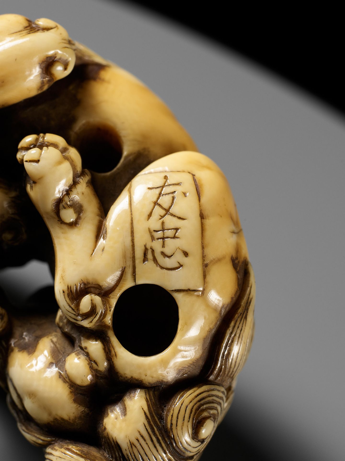 TOMOTADA: A SUPERB IVORY NETSUKE OF A RECUMBENT SHISHI SCRATCHING ITS JOWL - Image 21 of 24