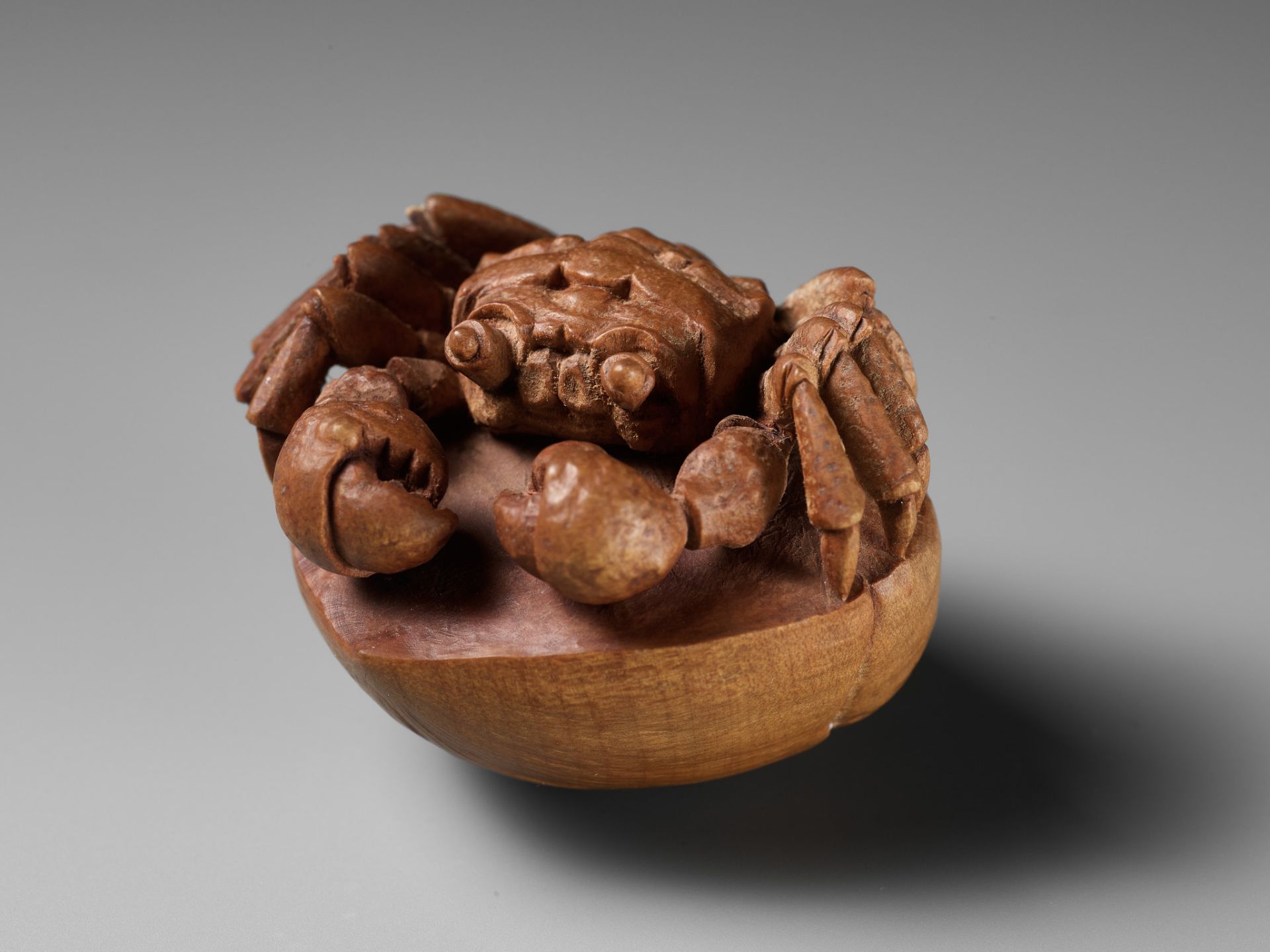 MORITA SOKO: A FINE NETSUKE OF A SAMURAI CRAB (HEIKEGANI) ON A CHESTNUT - Bild 7 aus 16