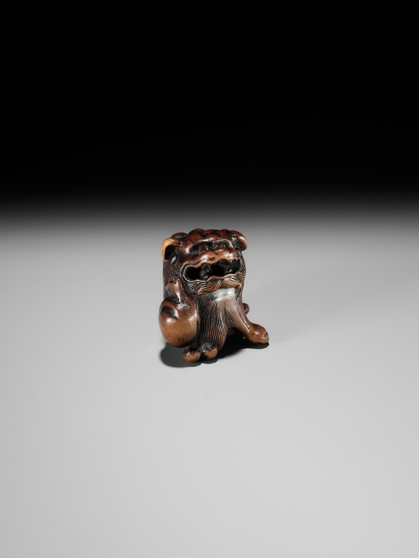 A WOOD NETSUKE OF A SHISHI SCRATCHING ITS JOWL, ATTRIBUTED TO RISUKE GARAKU - Image 10 of 12