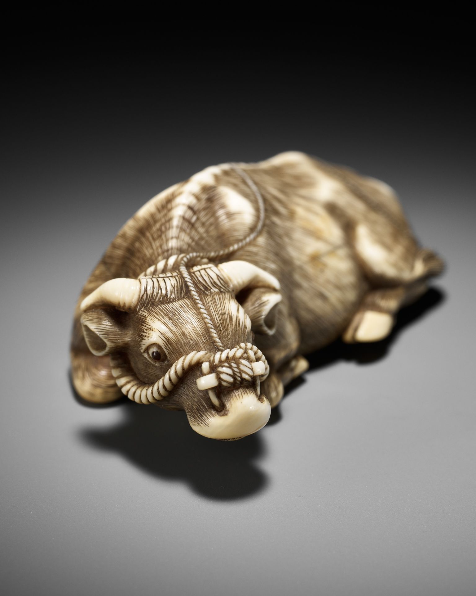 A SUPERB IVORY NETSUKE OF A RECUMBENT OX, ATTRIBUTED TO OKATOMO