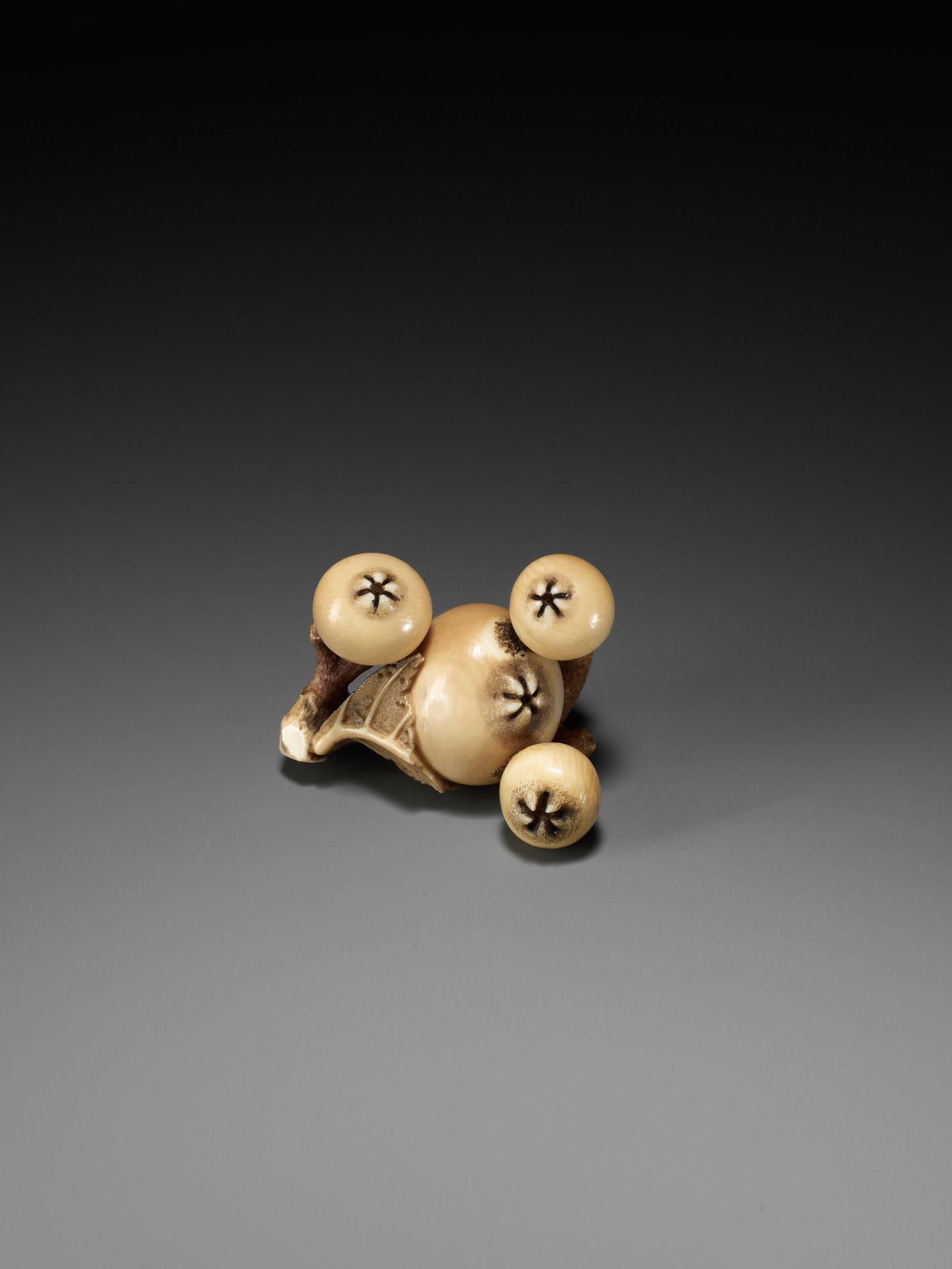 MITSUHIRO: A FINE IVORY NETSUKE OF A BIWA (LOQUAT) - Image 2 of 16