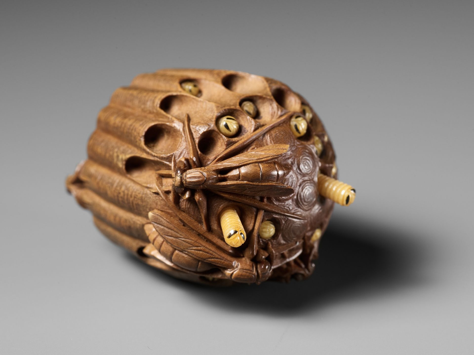 TADAKAZU: A FINE WOOD NETSUKE OF A WASP NEST WITH MOVABLE LARVAE - Bild 3 aus 15