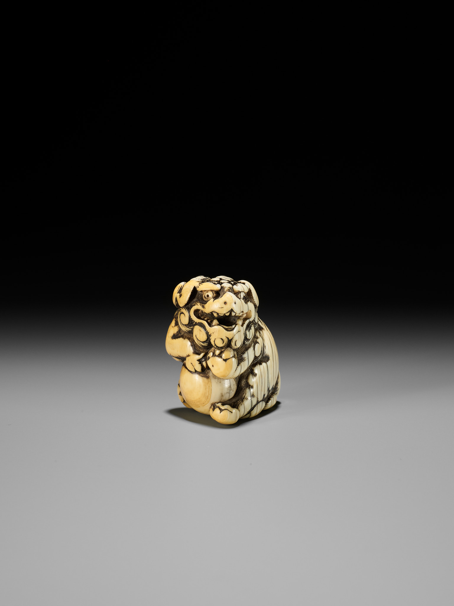 AN IVORY NETSUKE OF A SNARLING SHISHI WITH BALL - Image 11 of 13