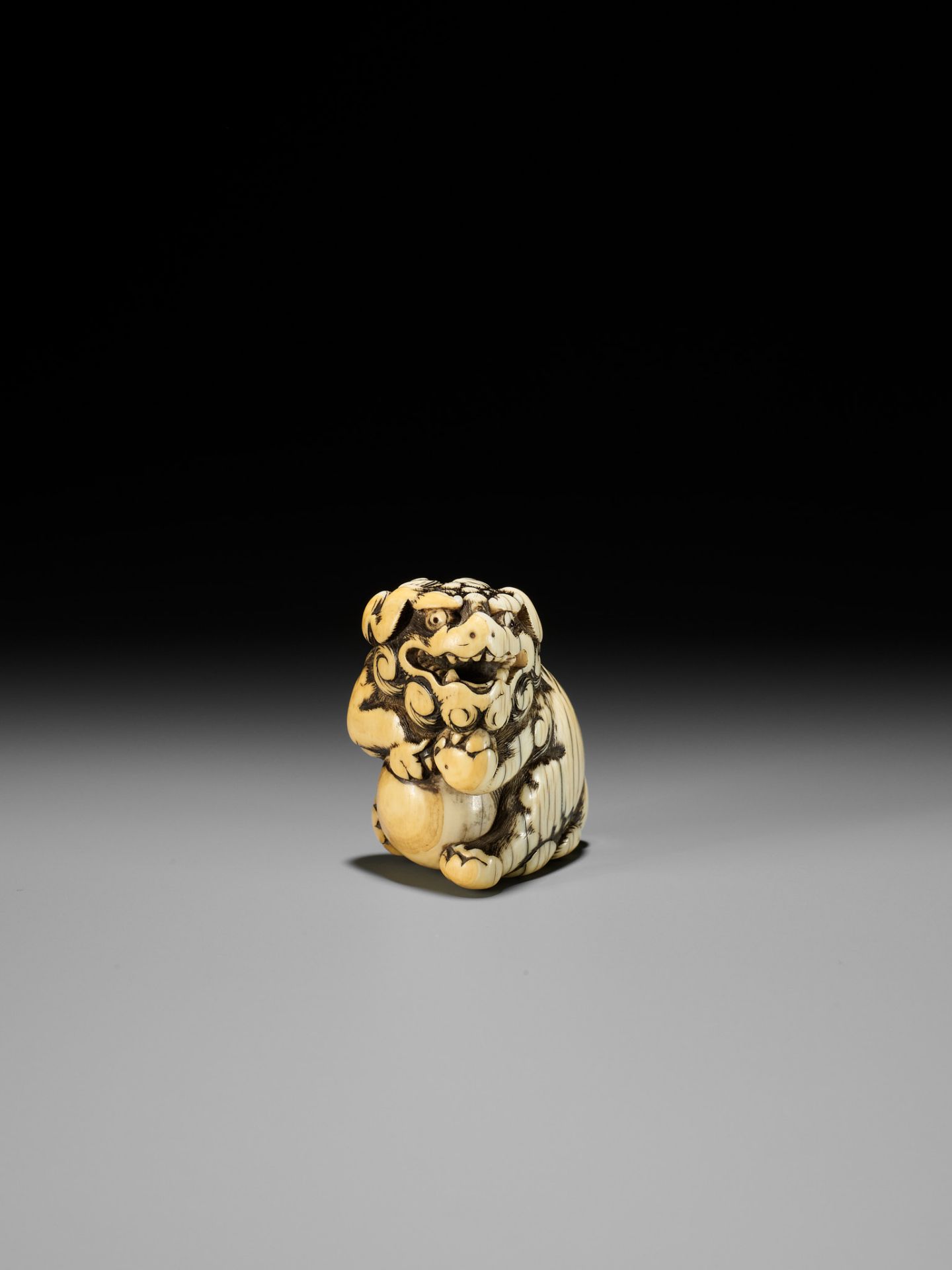 AN IVORY NETSUKE OF A SNARLING SHISHI WITH BALL - Bild 11 aus 13