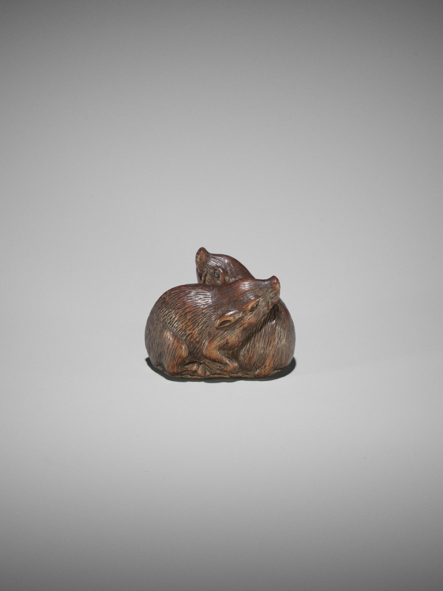 TAMETAKA: A WOOD NETSUKE OF TWO BOARS - Bild 9 aus 17