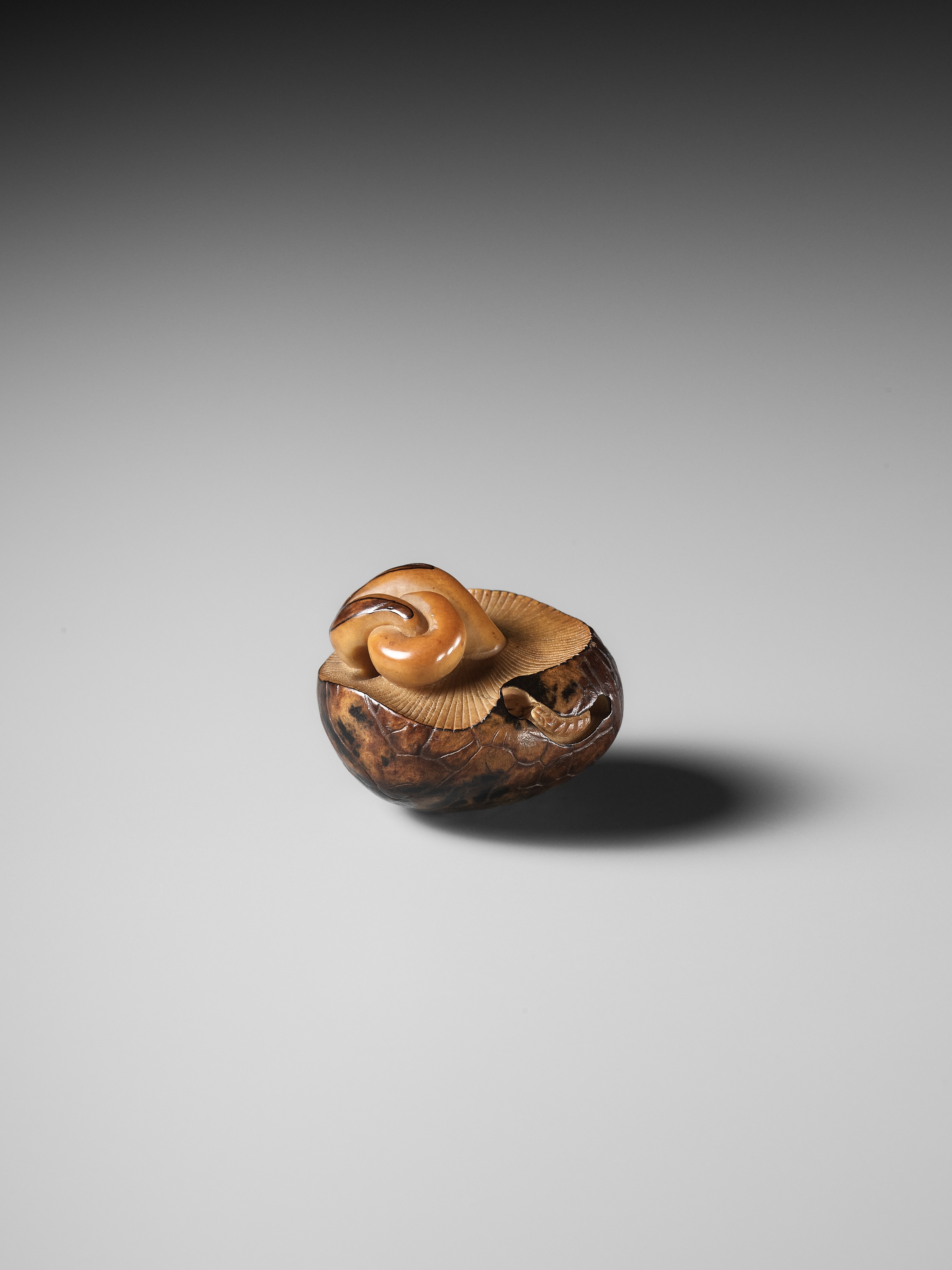 YOSHIMASA: A RARE COROZO NUT NETSUKE OF TWO MUSHROOMS AND A WORM - Image 8 of 11