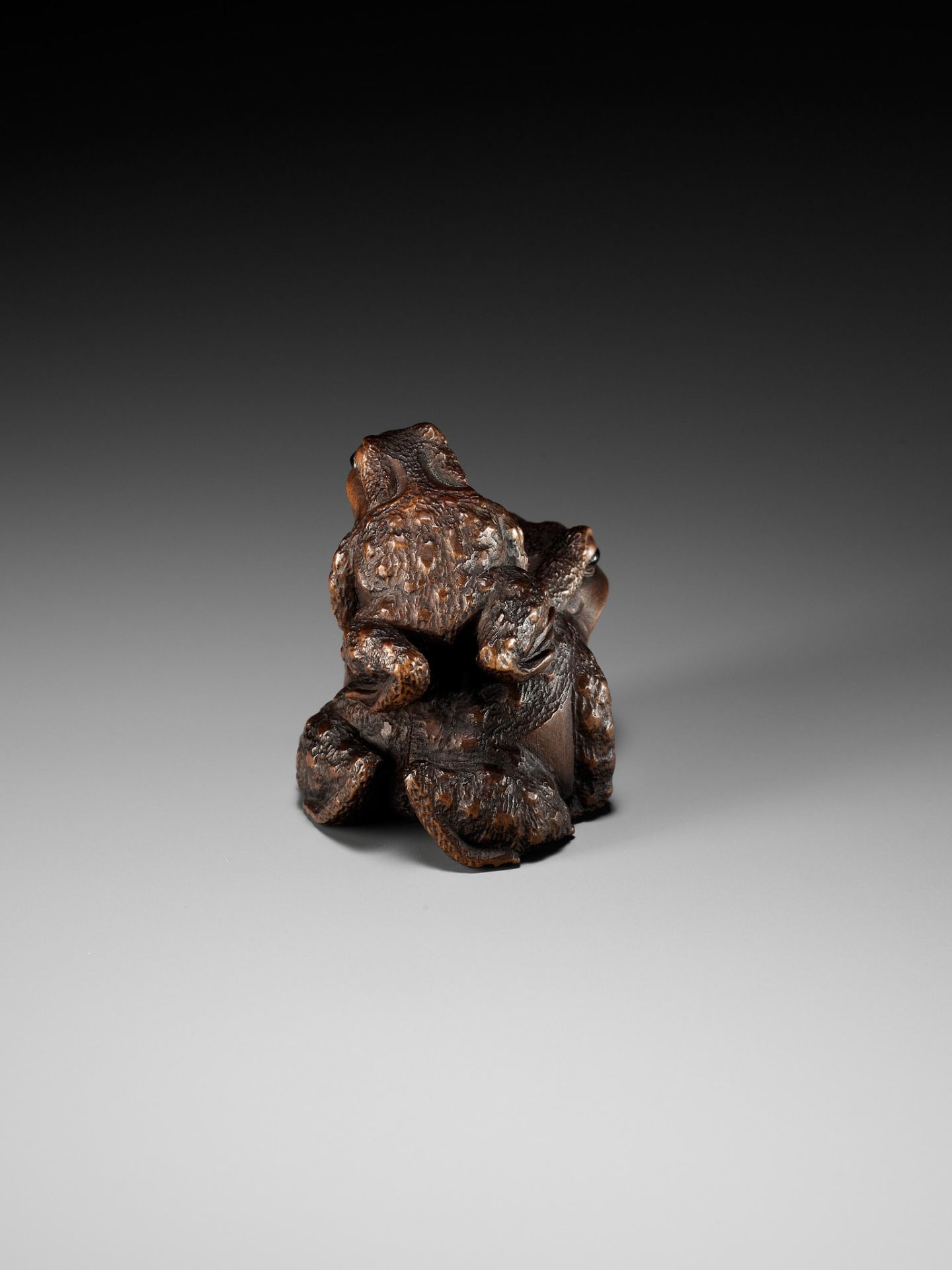 MASANAO: A FINE WOOD NETSUKE OF A TOAD WITH YOUNG - Image 10 of 15