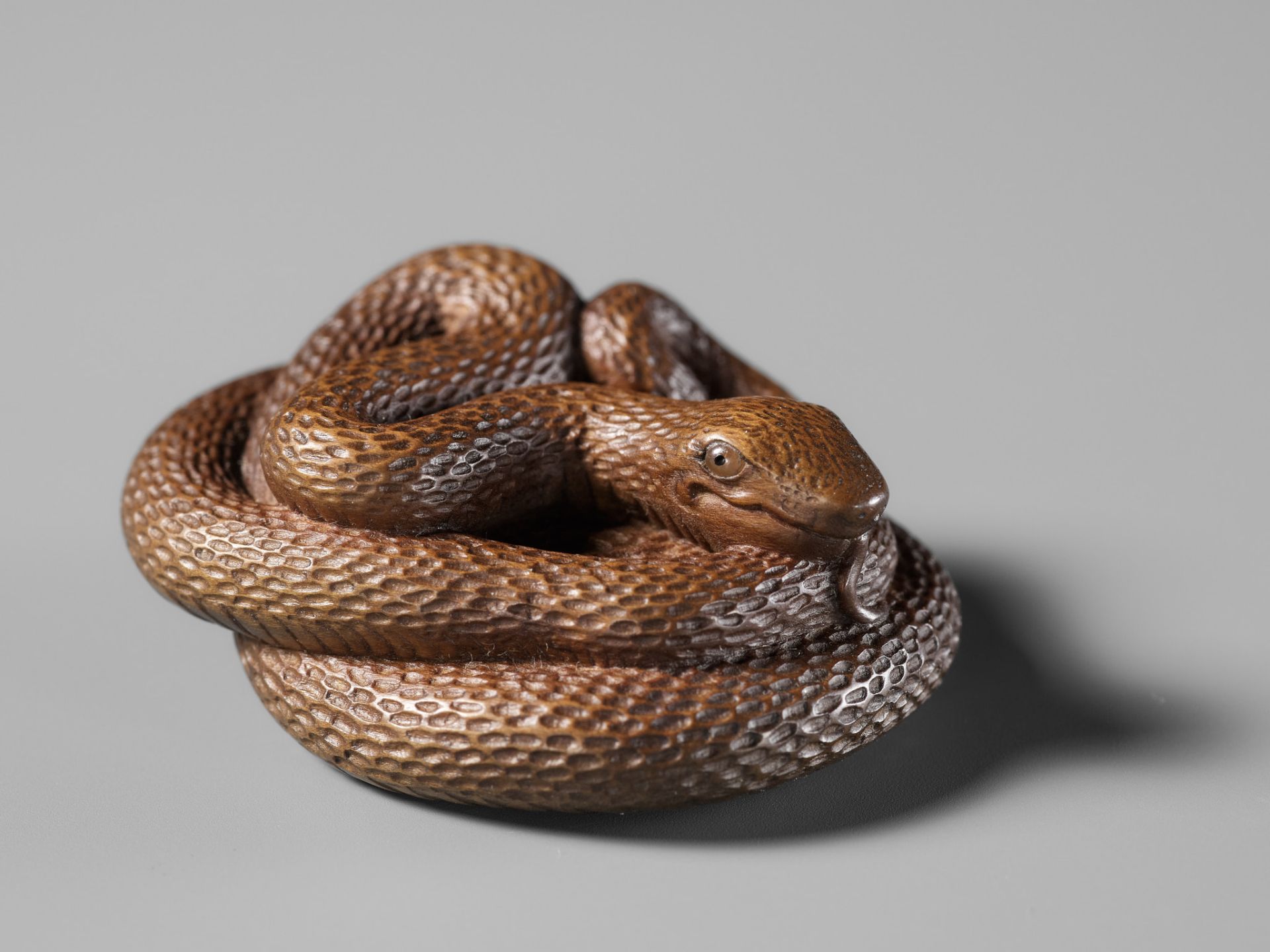 MASAKAZU: A FINE WOOD NETSUKE OF A COILED SNAKE - Image 13 of 15