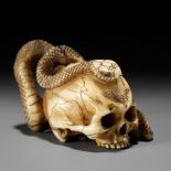 A FINE IVORY NETSUKE OF A SKULL WITH A SNAKE