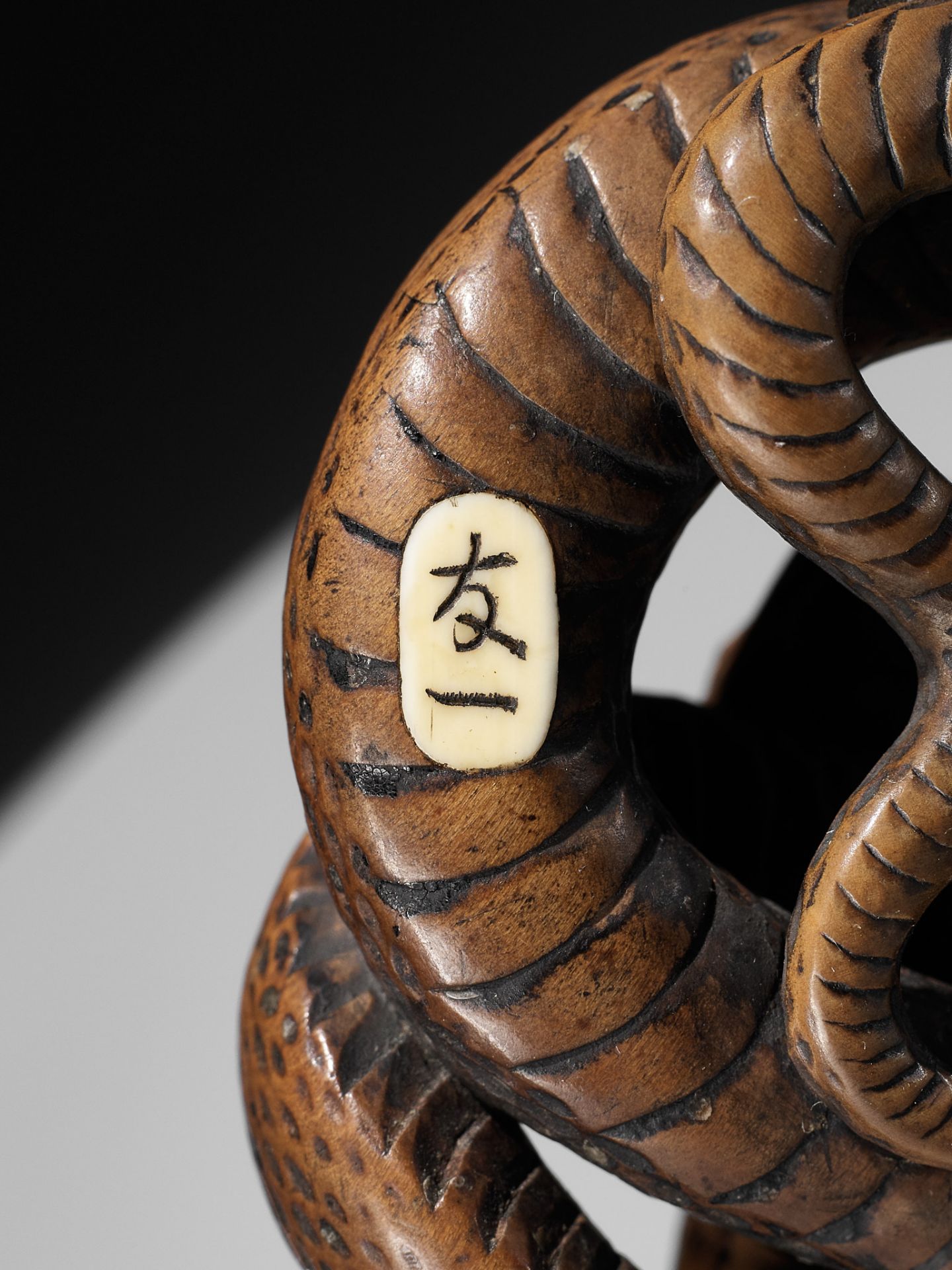 A LARGE AND POWERFUL WOOD NETSUKE OF A COILED SNAKE WITH AN INLAID SLUG BY TOMOKAZU - Bild 13 aus 13