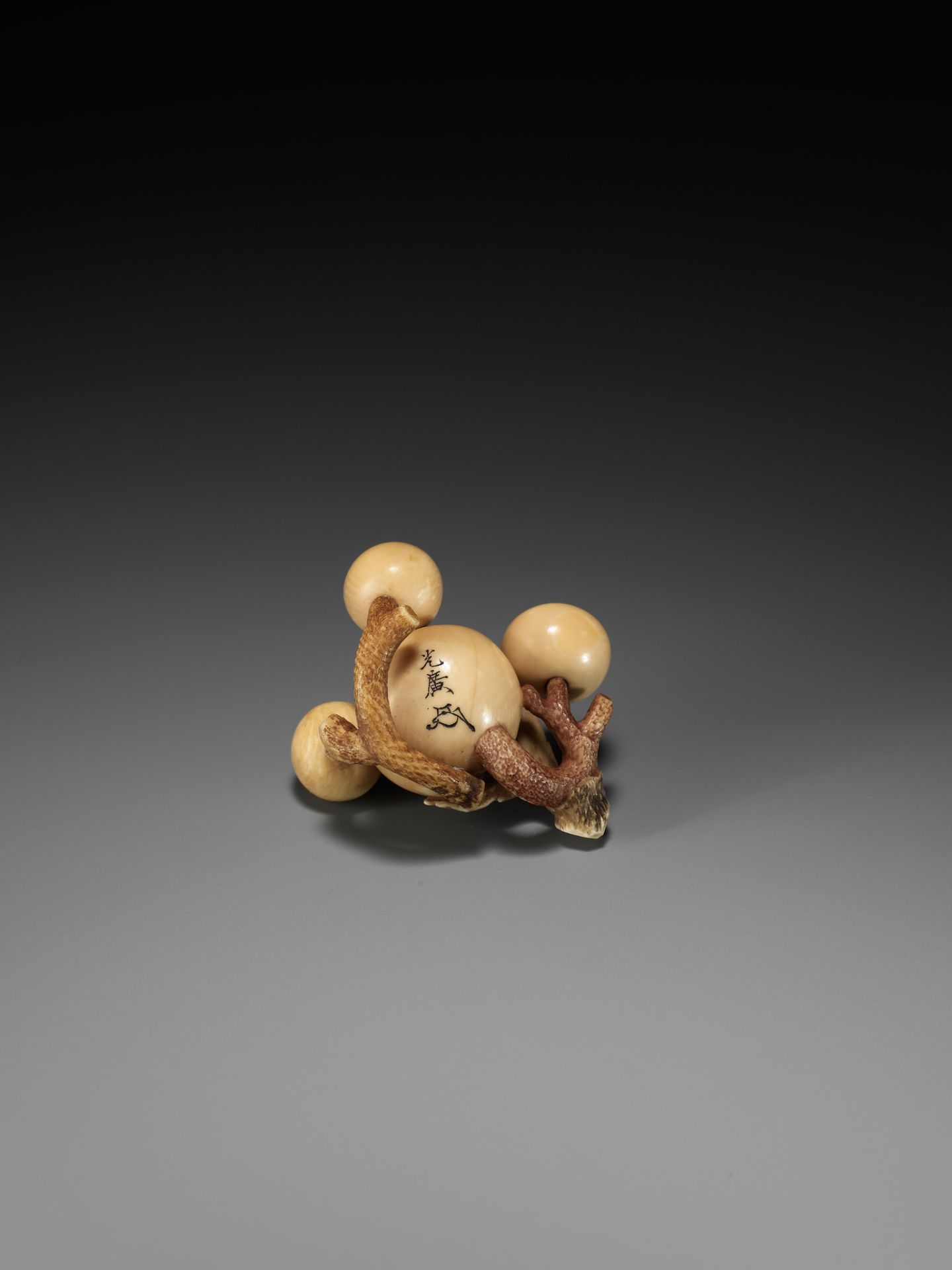 MITSUHIRO: A FINE IVORY NETSUKE OF A BIWA (LOQUAT) - Bild 14 aus 16