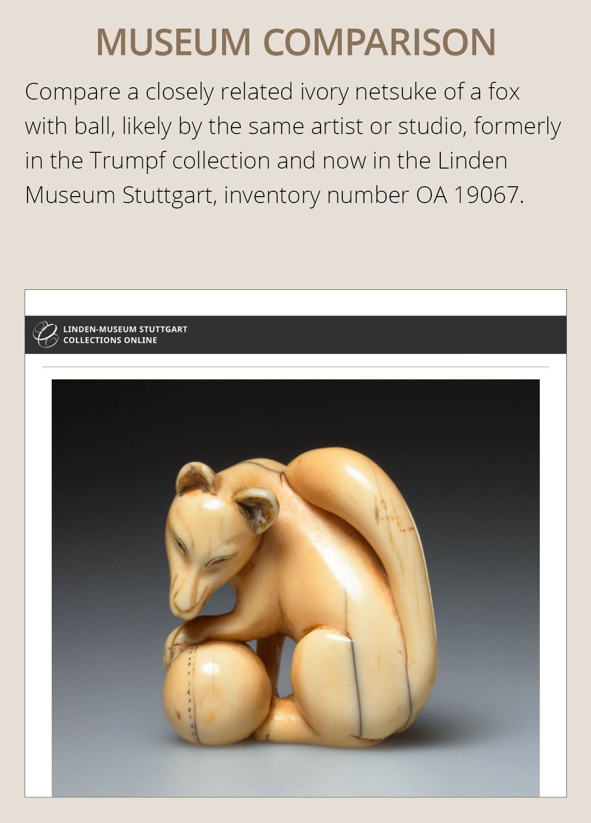 A RARE IVORY NETSUKE OF A KITSUNE (FOX) AND CUB - Image 5 of 17