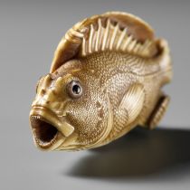 ANDO RYOKUZAN: A SUPERB IVORY NETSUKE OF A FLOUNDER AND ROCKFISH