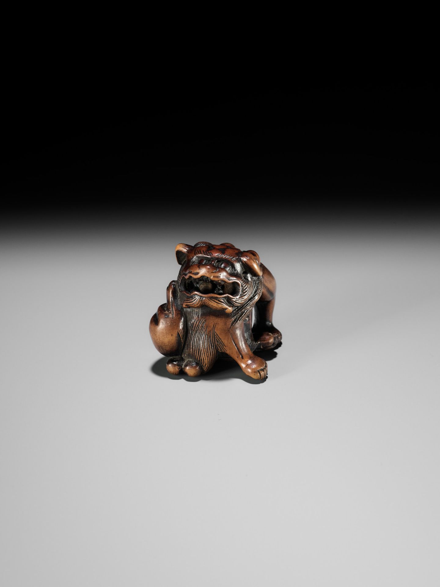 A WOOD NETSUKE OF A SHISHI SCRATCHING ITS JOWL, ATTRIBUTED TO RISUKE GARAKU - Image 3 of 12