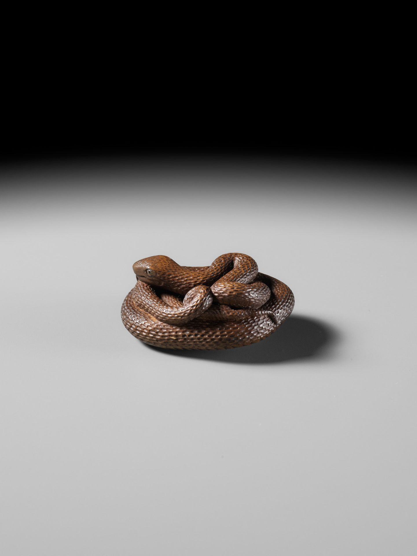 MASAKAZU: A FINE WOOD NETSUKE OF A COILED SNAKE - Image 8 of 15