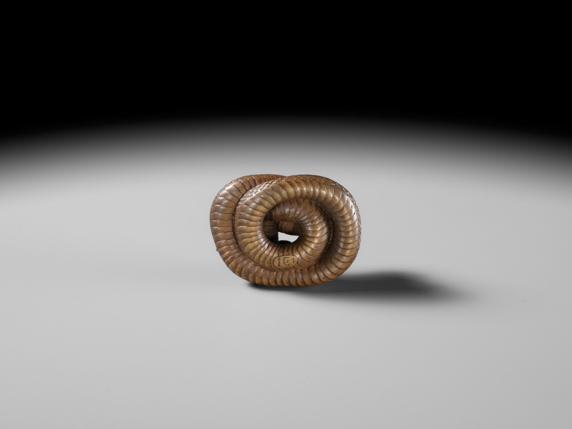 MASAKAZU: A FINE WOOD NETSUKE OF A COILED SNAKE - Image 14 of 15