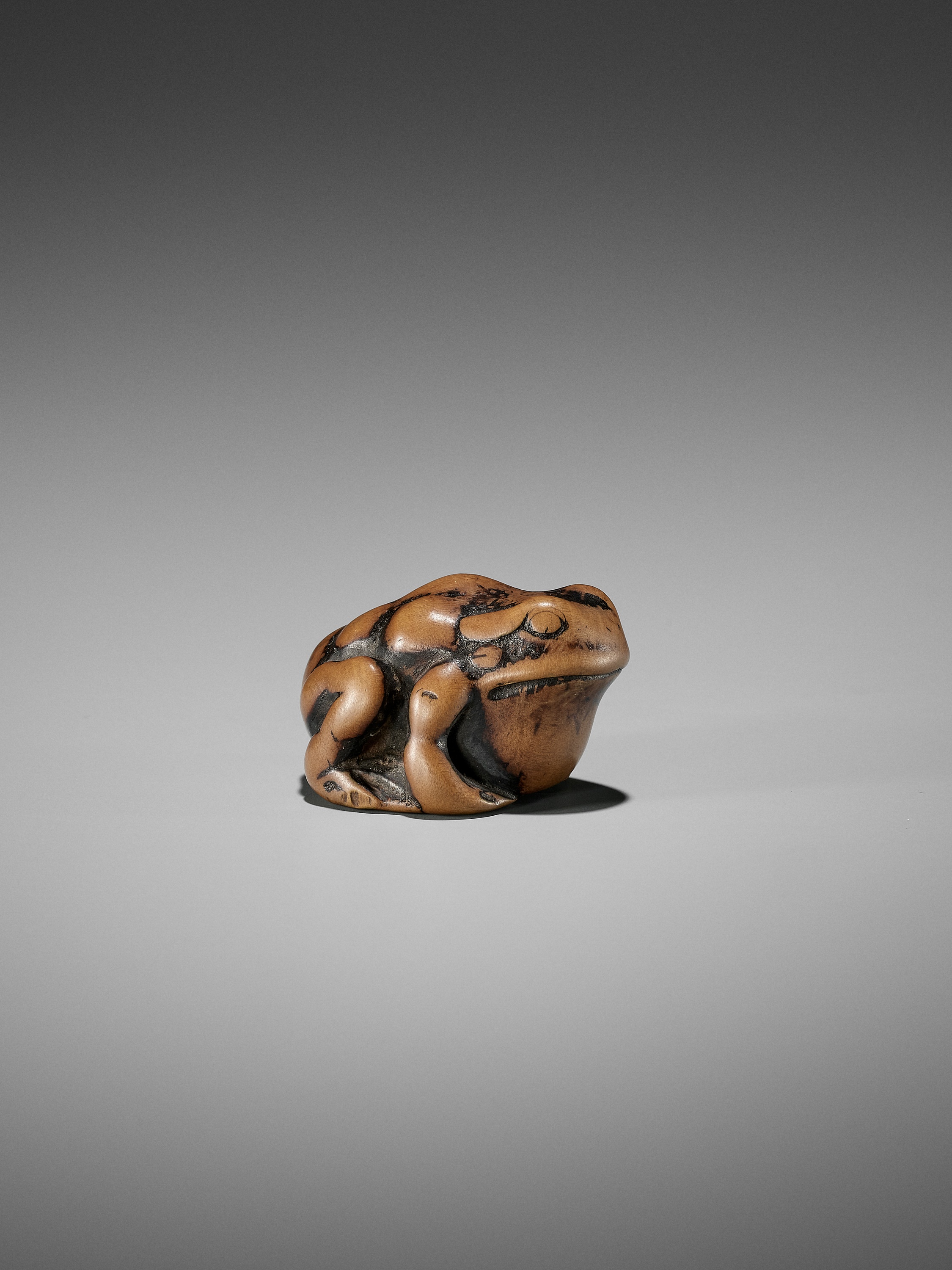 AN EARLY WOOD NETSUKE OF A TOAD - Bild 4 aus 12