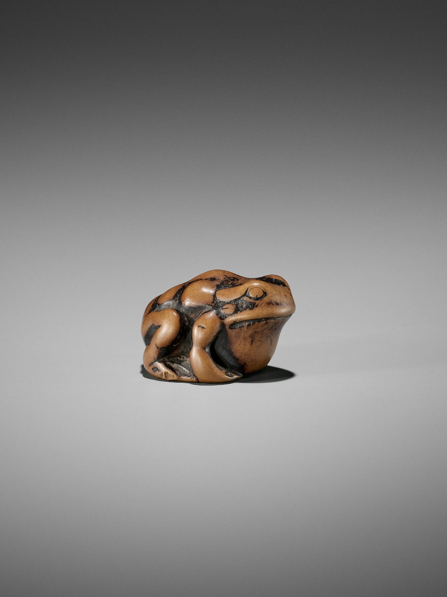 AN EARLY WOOD NETSUKE OF A TOAD - Image 4 of 12