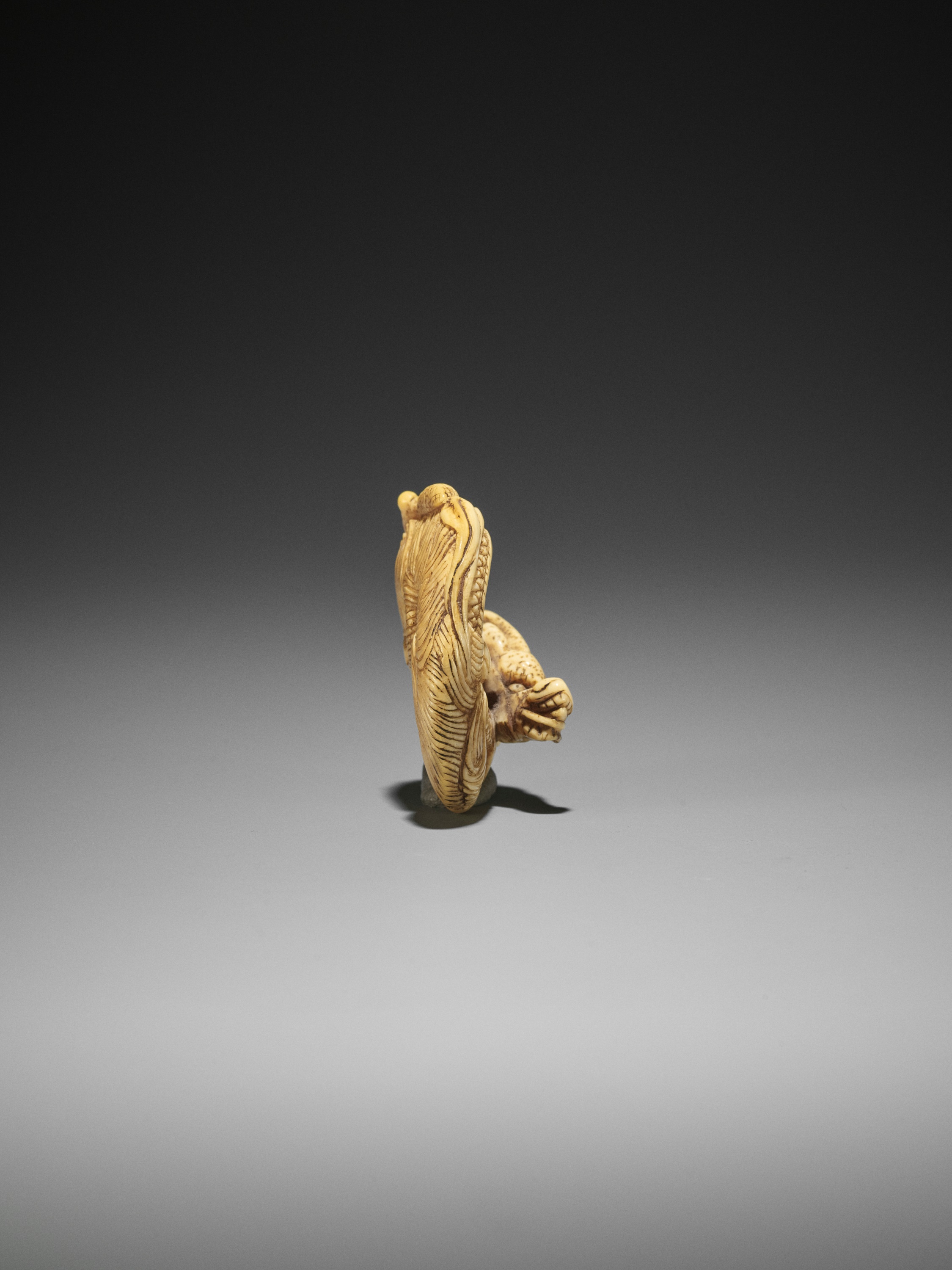 AN IVORY NETSUKE OF A COILED ONE-HORNED DRAGON - Image 8 of 10