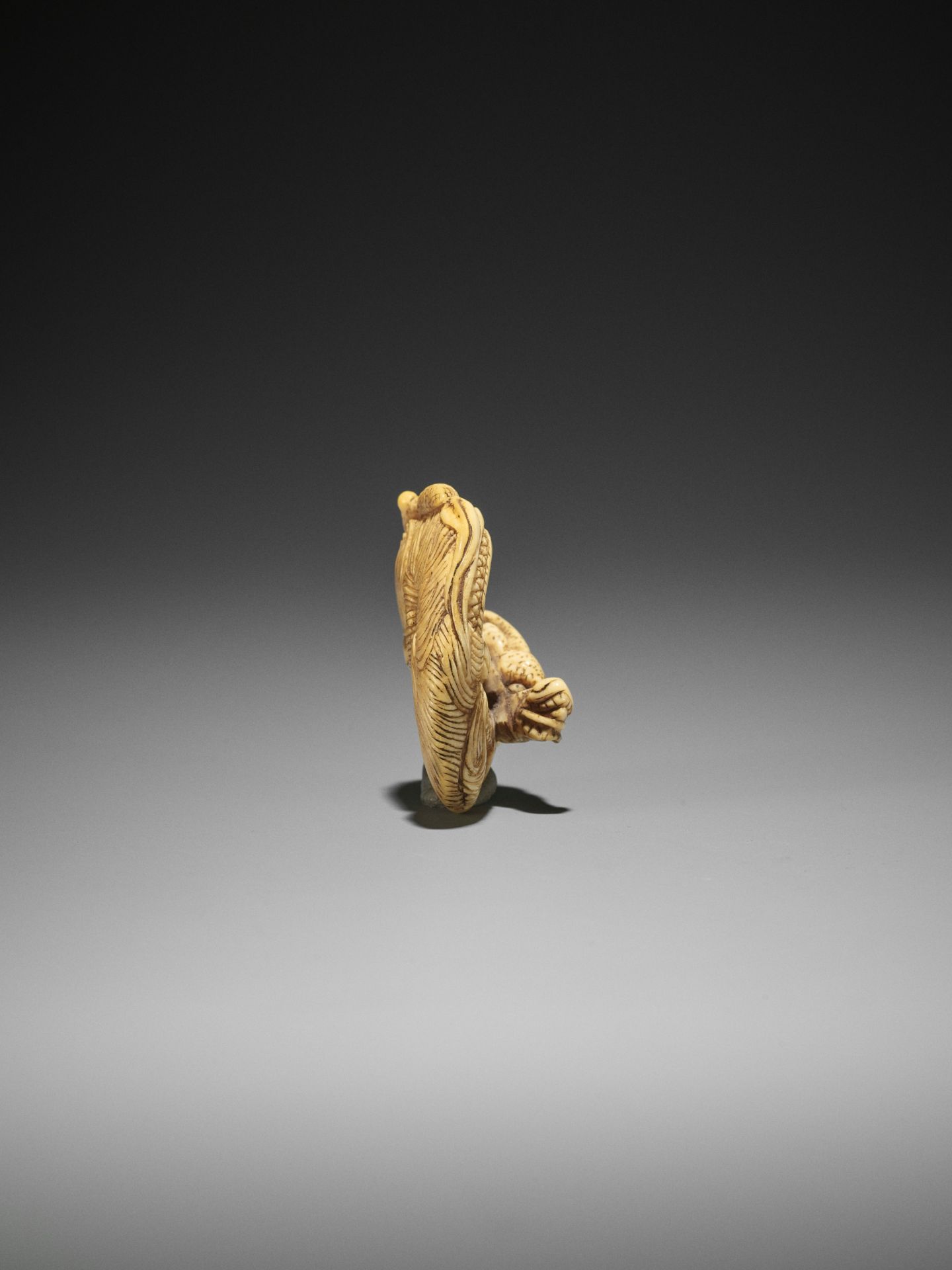 AN IVORY NETSUKE OF A COILED ONE-HORNED DRAGON - Bild 8 aus 10