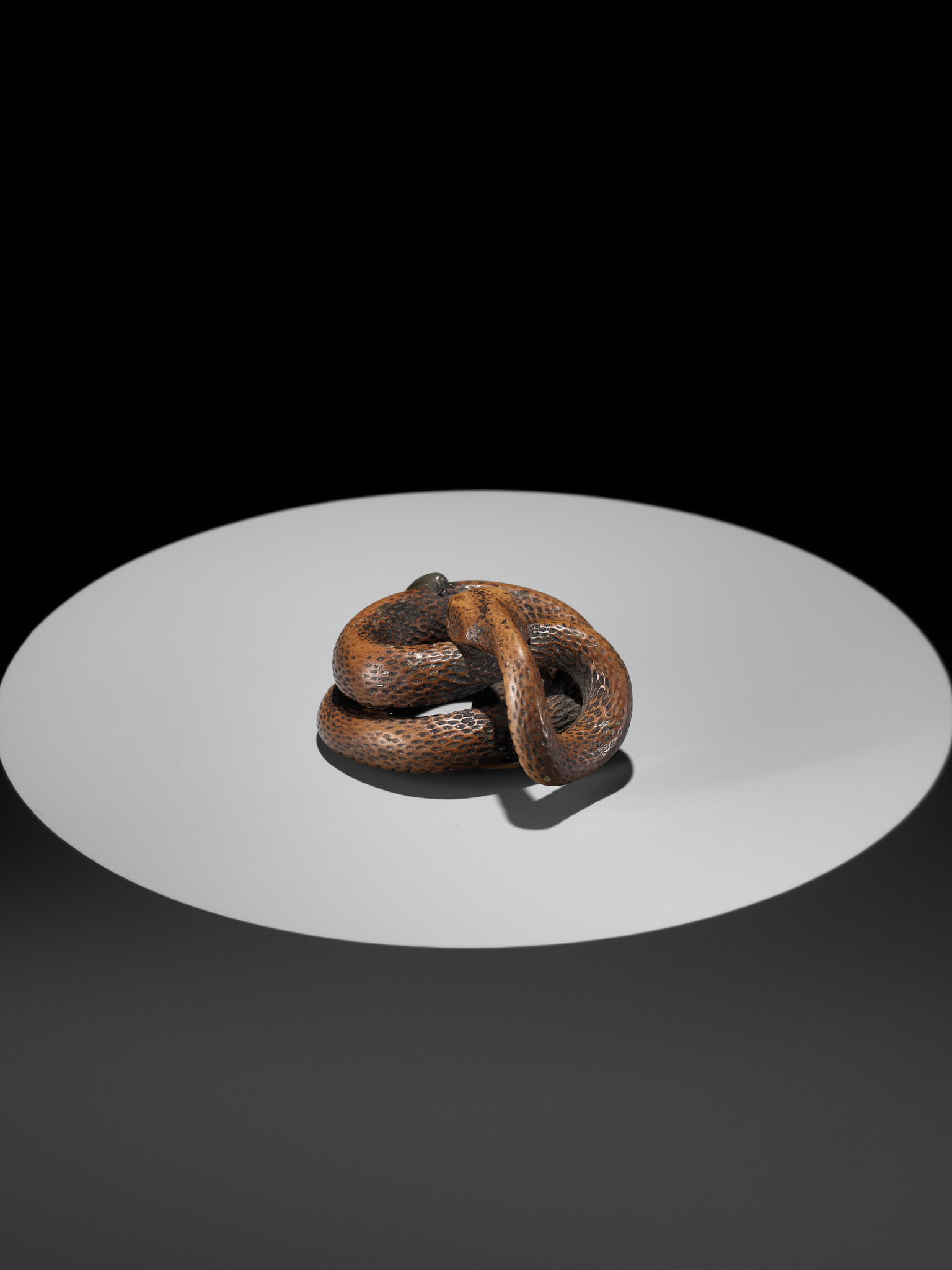 A LARGE AND POWERFUL WOOD NETSUKE OF A COILED SNAKE WITH AN INLAID SLUG BY TOMOKAZU - Image 7 of 13