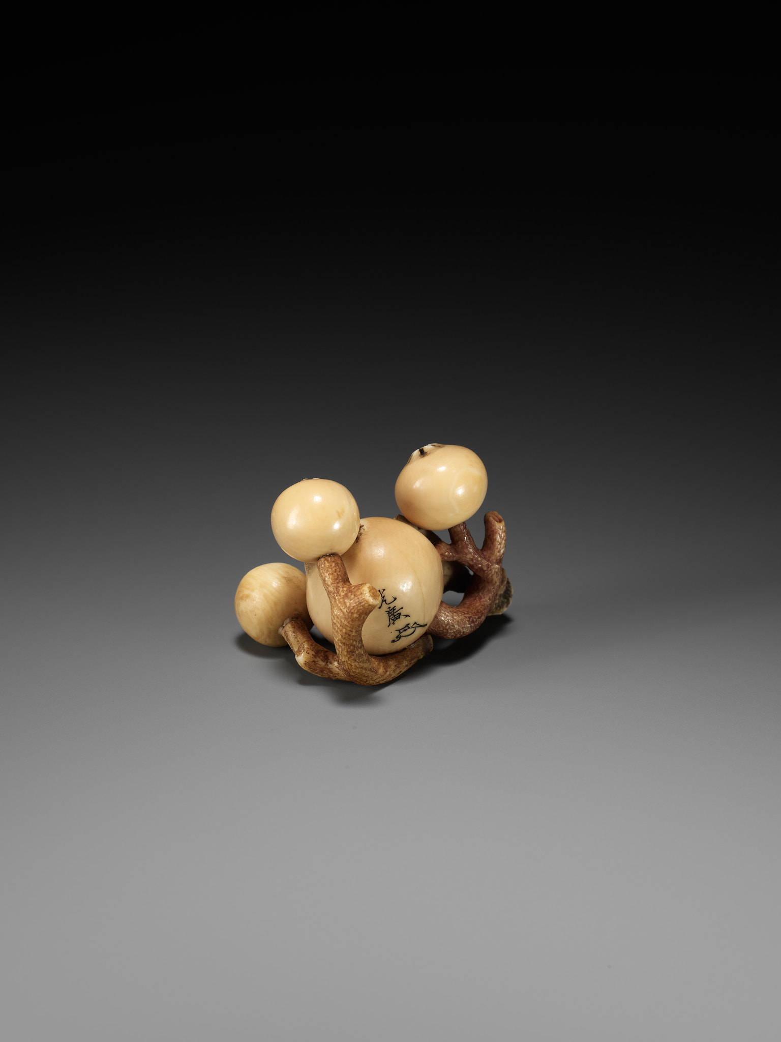 MITSUHIRO: A FINE IVORY NETSUKE OF A BIWA (LOQUAT) - Image 8 of 16