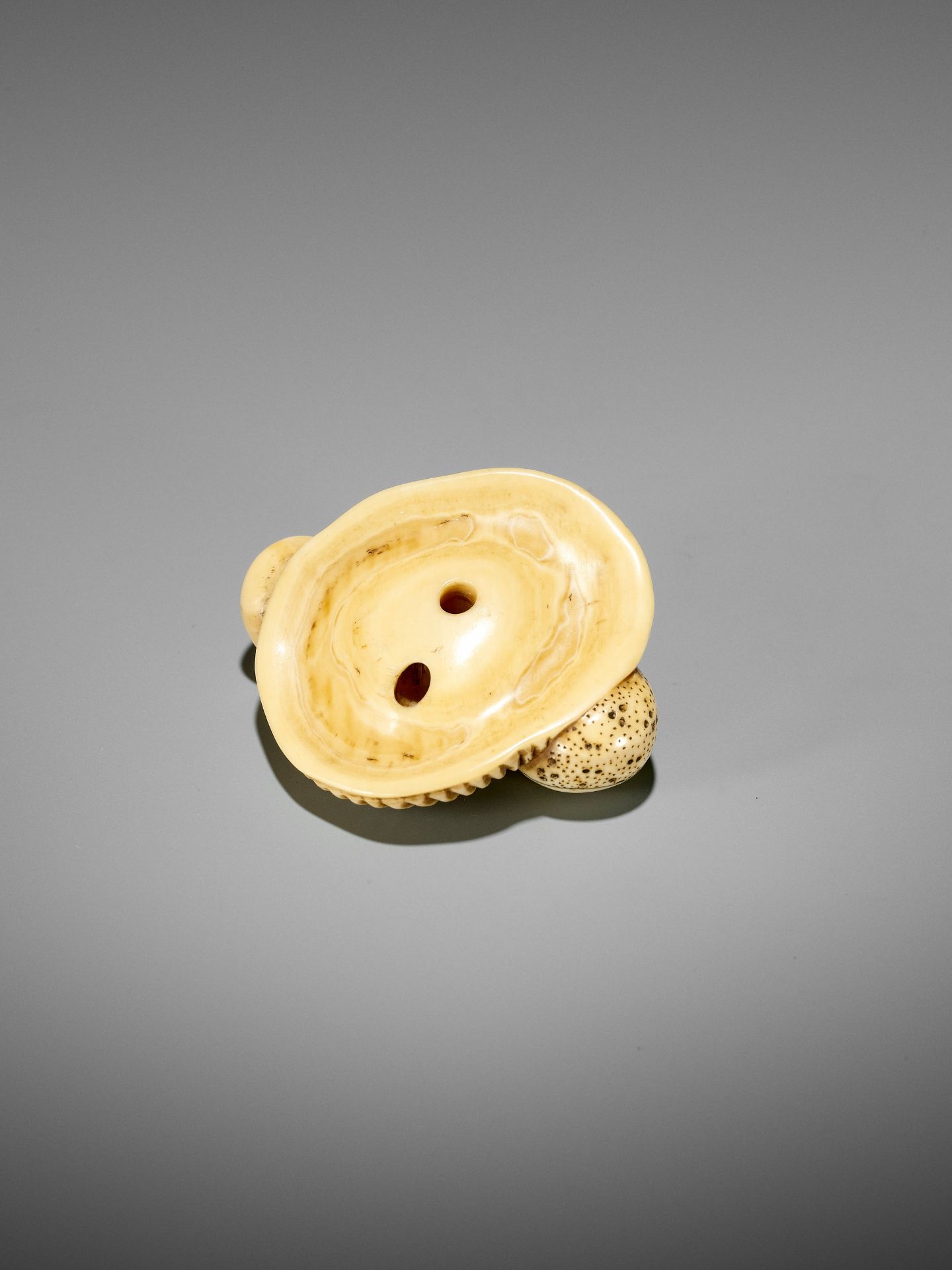 A FINE IVORY NETSUKE OF A SNAIL ON LARGE MUSHROOM - Bild 14 aus 15