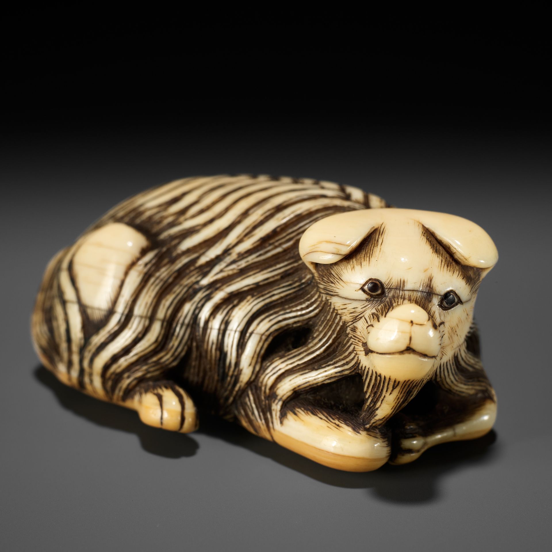 A RARE IVORY NETSUKE OF A JAKONEKO (MUSK CAT)