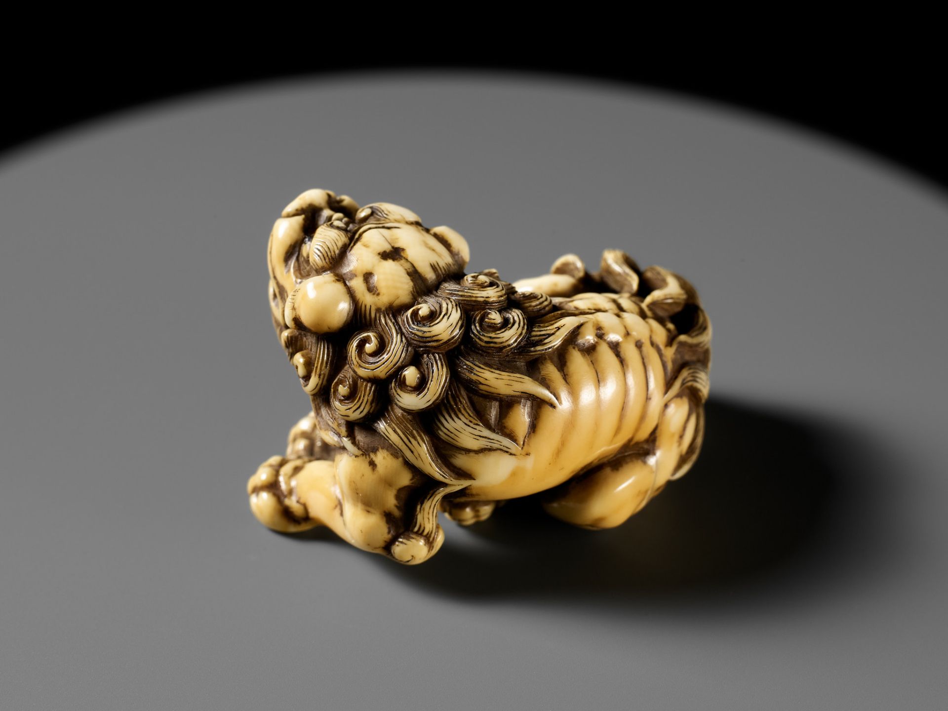 TOMOTADA: A SUPERB IVORY NETSUKE OF A RECUMBENT SHISHI SCRATCHING ITS JOWL - Image 10 of 24