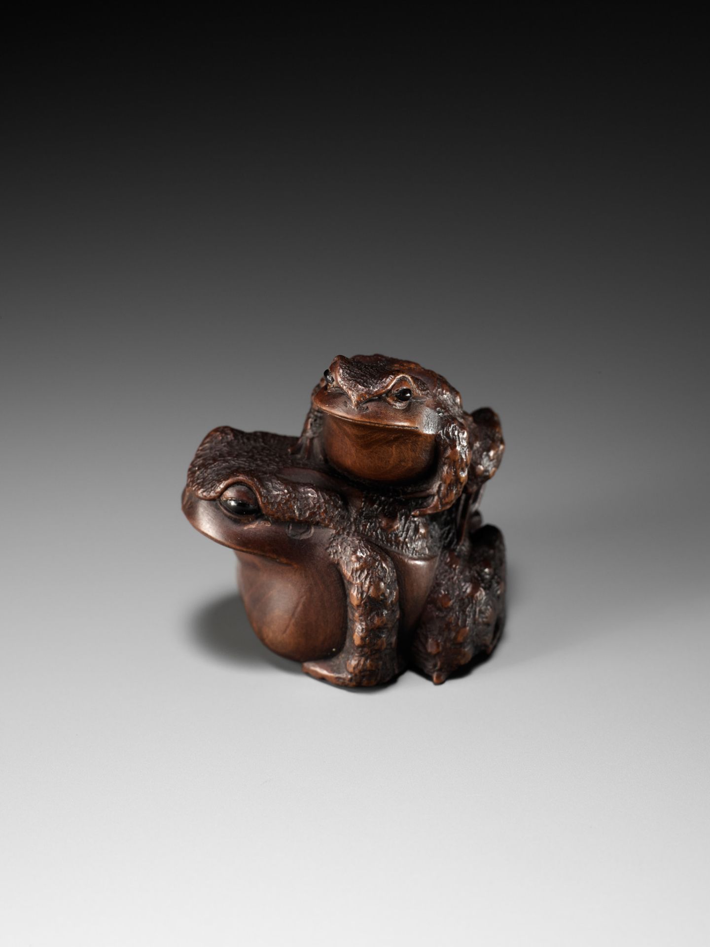 MASANAO: A FINE WOOD NETSUKE OF A TOAD WITH YOUNG - Image 13 of 15