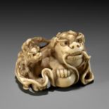 HAKURYU: A FINE IVORY NETSUKE OF A SHISHI AND YOUNG