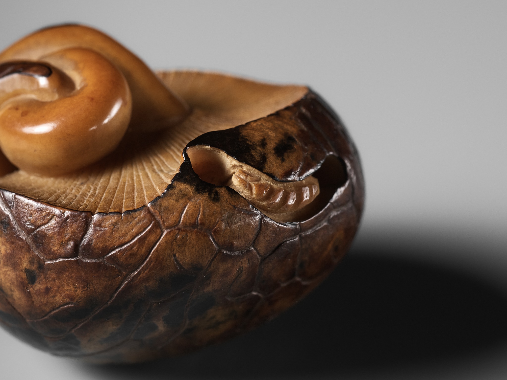 YOSHIMASA: A RARE COROZO NUT NETSUKE OF TWO MUSHROOMS AND A WORM - Image 3 of 11