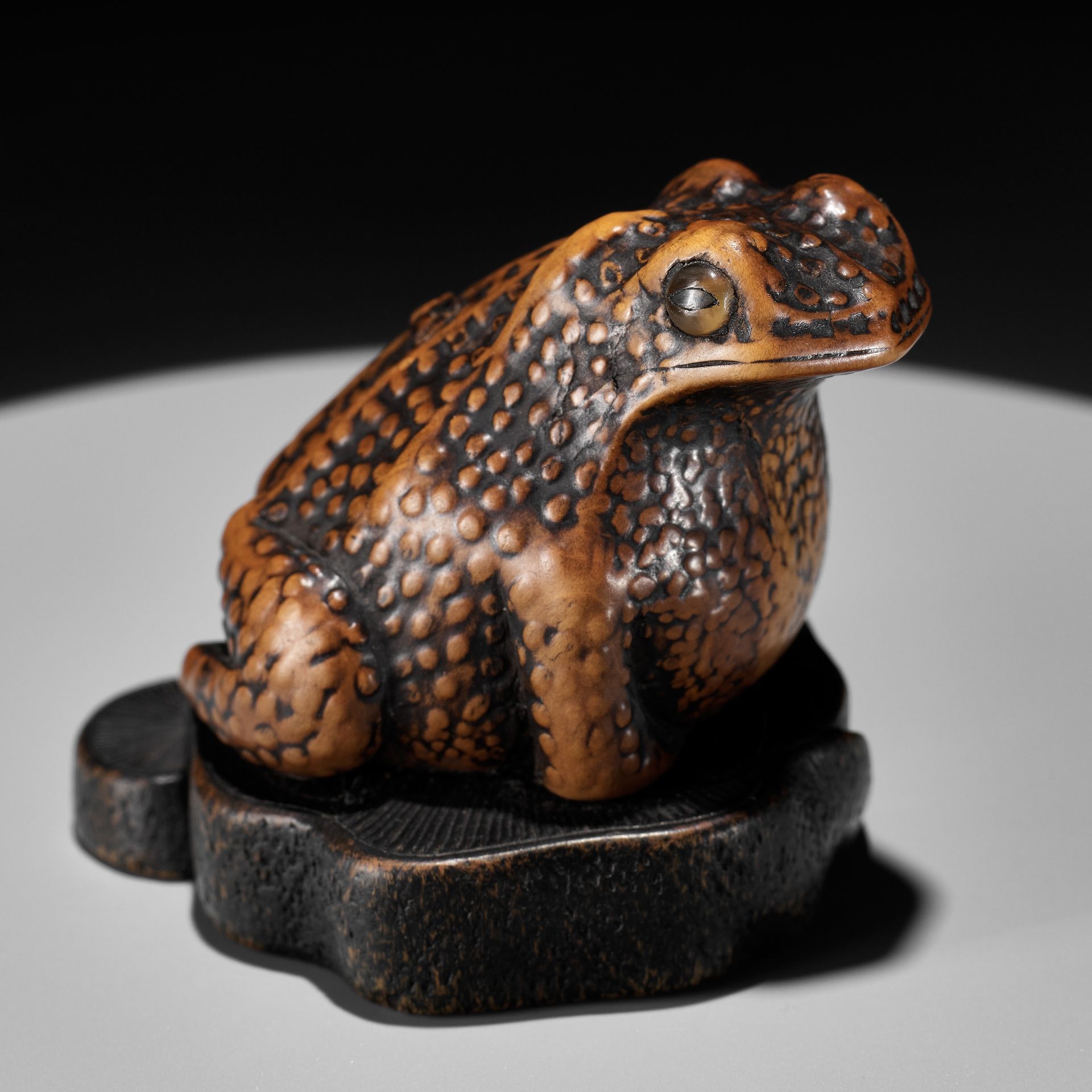 A LARGE AND UNUSUAL WOOD NETSUKE OF A TOAD