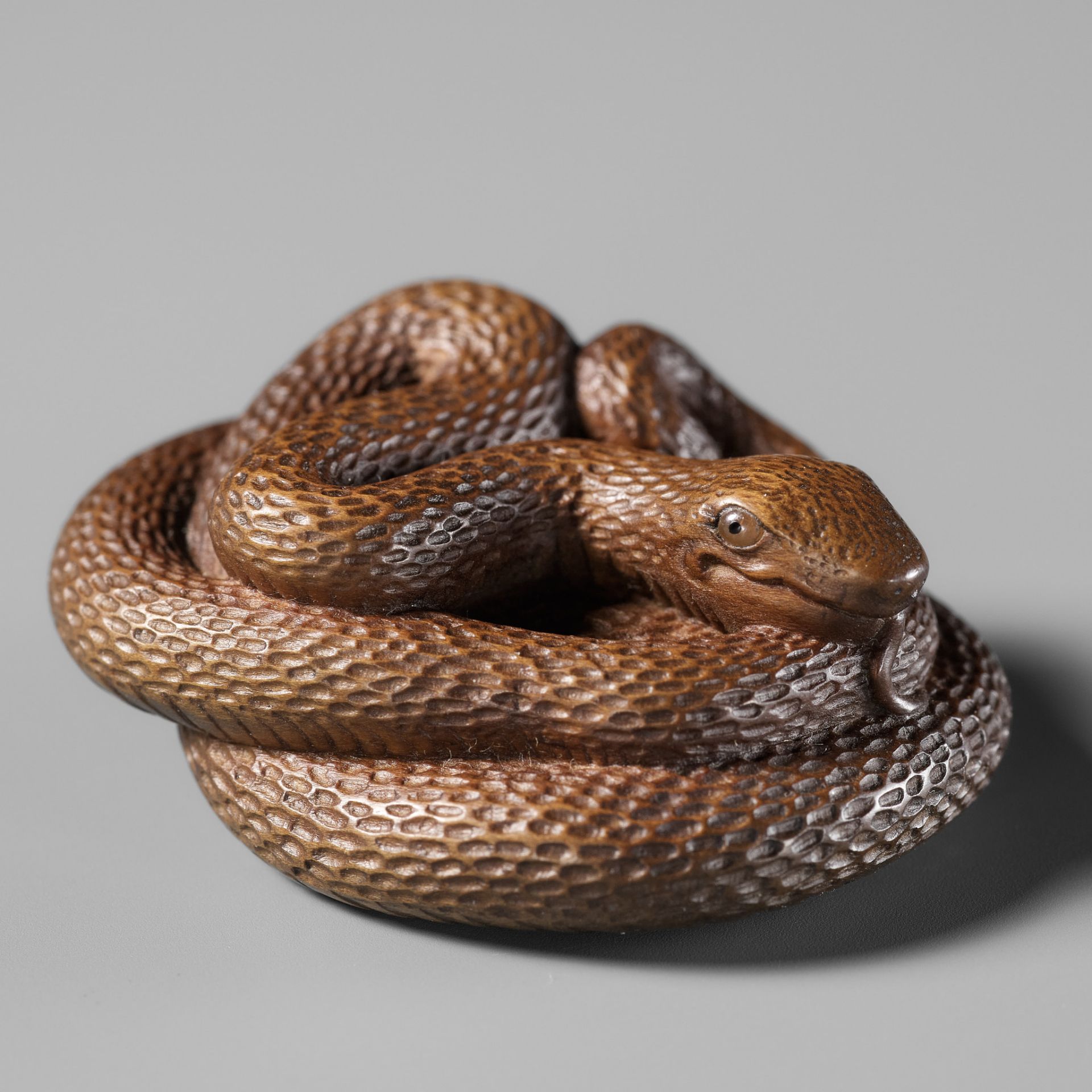 MASAKAZU: A FINE WOOD NETSUKE OF A COILED SNAKE