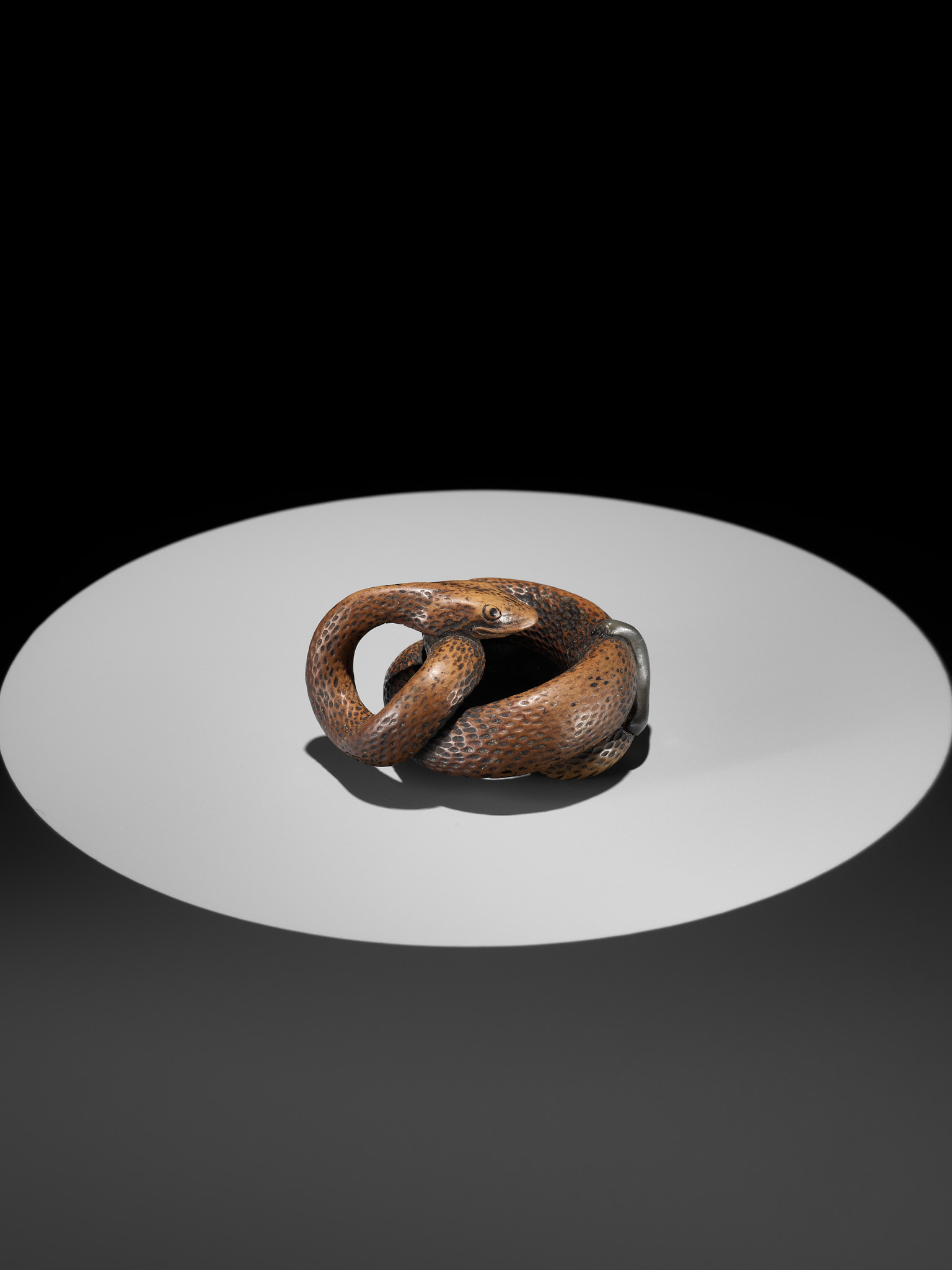 A LARGE AND POWERFUL WOOD NETSUKE OF A COILED SNAKE WITH AN INLAID SLUG BY TOMOKAZU - Image 8 of 13