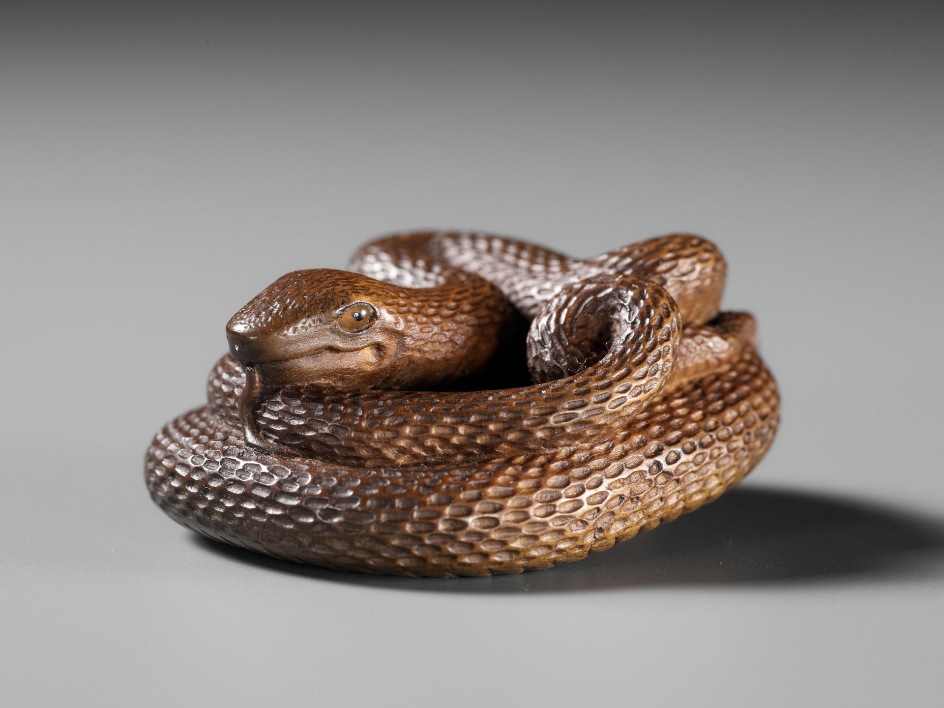 MASAKAZU: A FINE WOOD NETSUKE OF A COILED SNAKE - Image 4 of 15