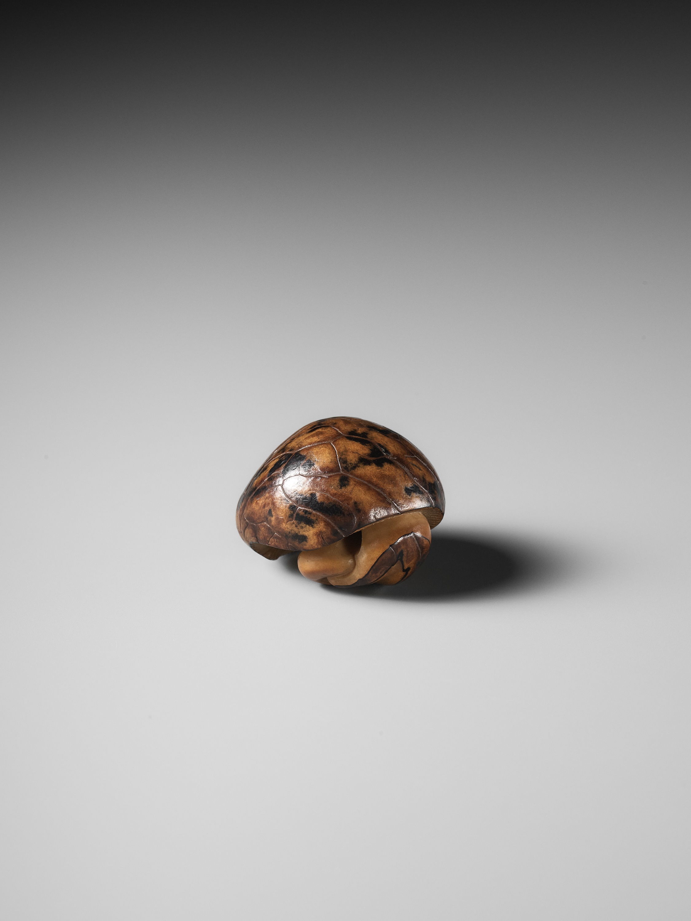 YOSHIMASA: A RARE COROZO NUT NETSUKE OF TWO MUSHROOMS AND A WORM - Image 9 of 11