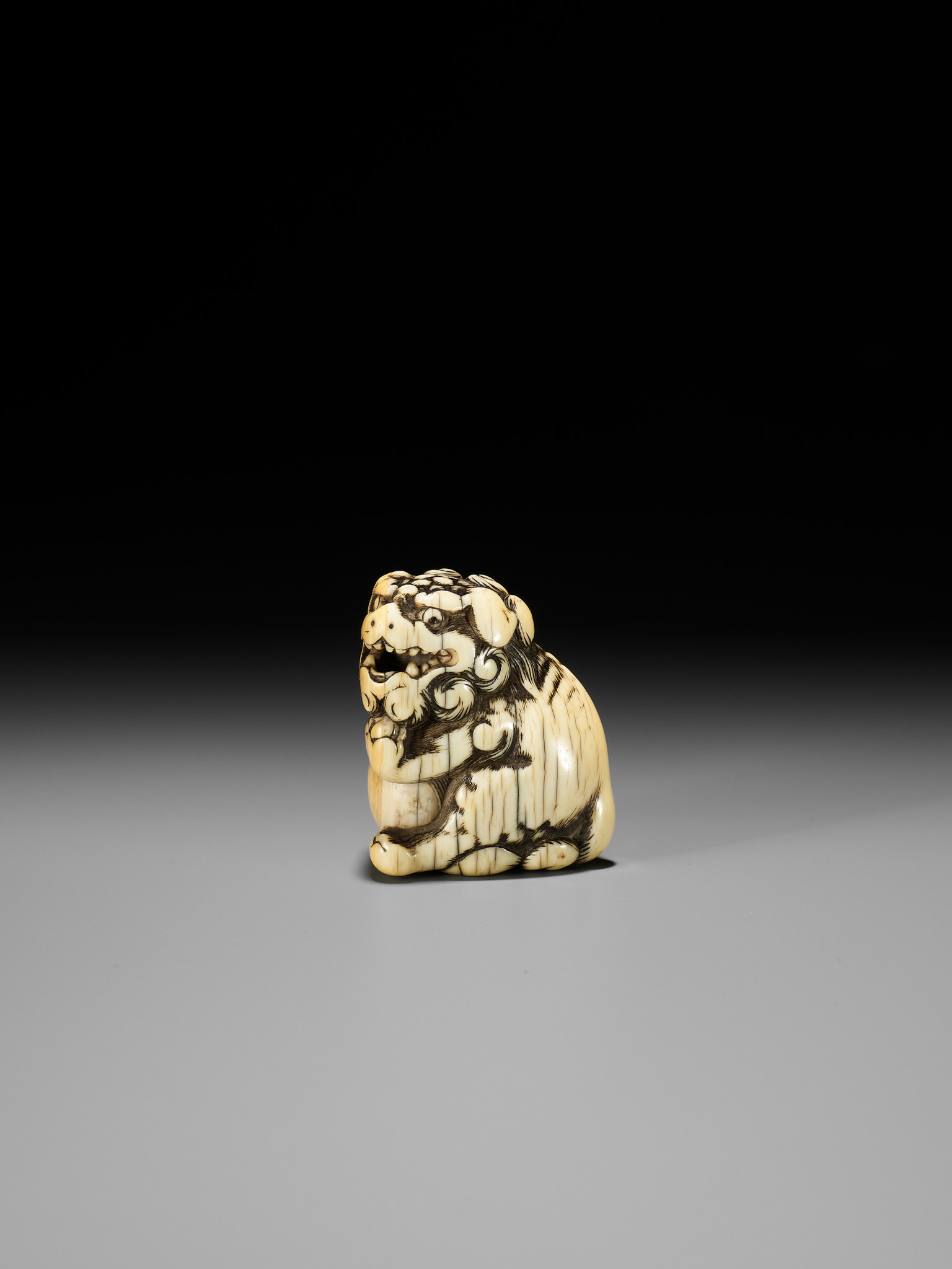 AN IVORY NETSUKE OF A SNARLING SHISHI WITH BALL - Image 2 of 13