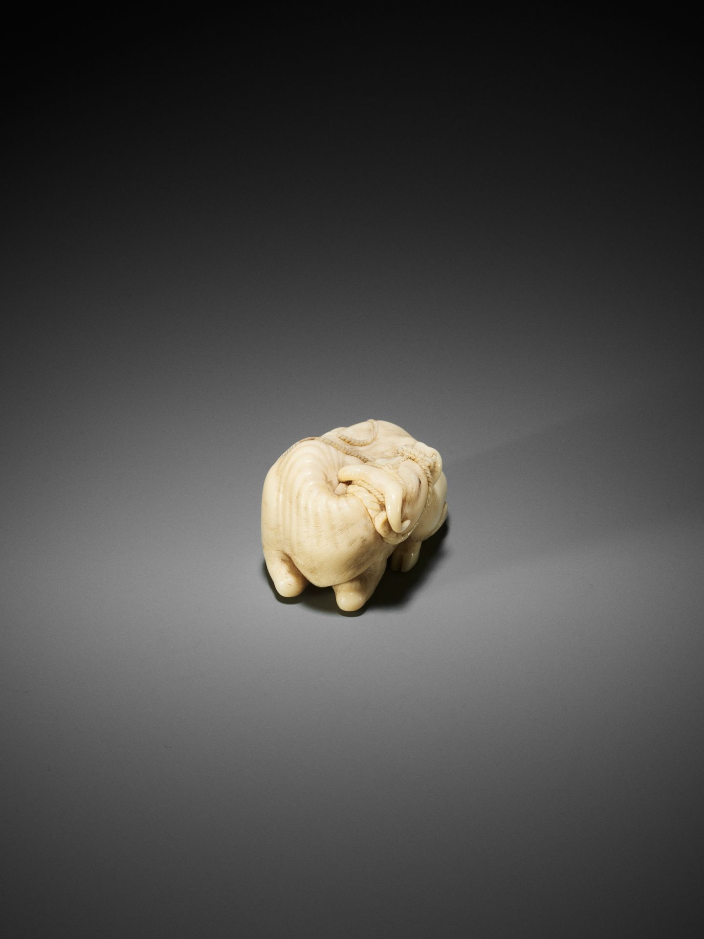 KAIGYOKUSAI MASATSUGU: A MASTERFUL AND IMPORTANT IVORY NETSUKE OF A RECUMBENT OX - Image 27 of 30