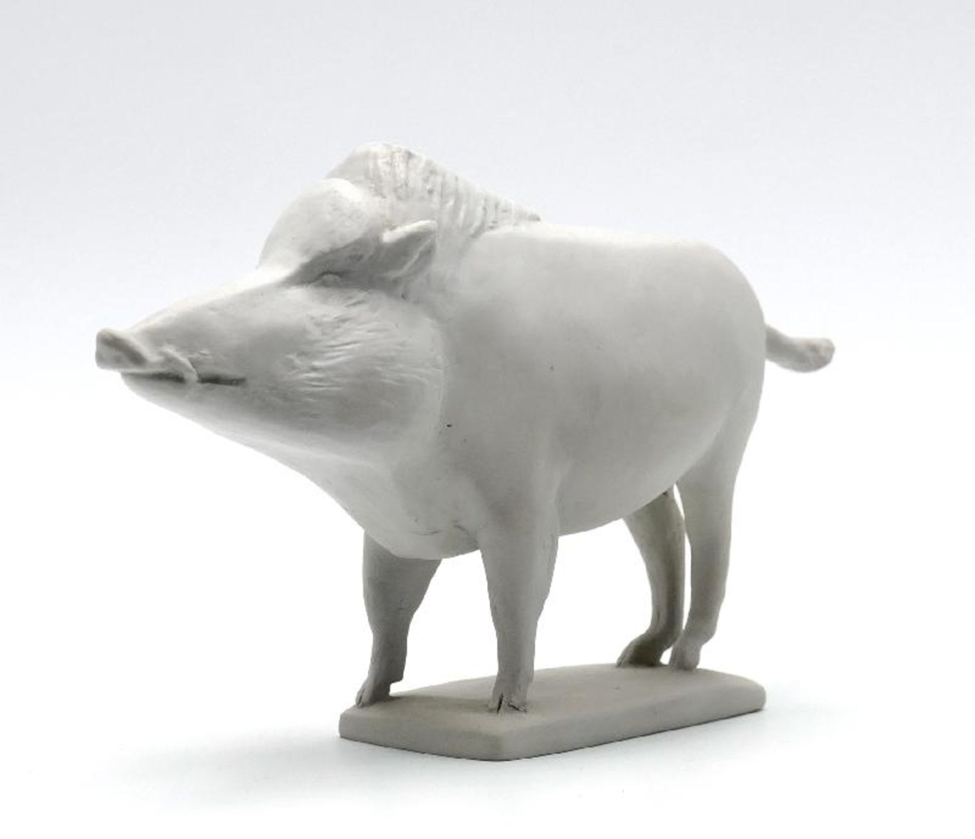 Grzimek, Waldemar - Wildschwein