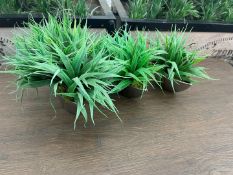 3no. Imitation Table Top Green Grass Plants Complete With Pots
