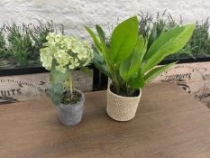 2no. Imitation Table Top Plants With Pots Styles & Sizes Vary